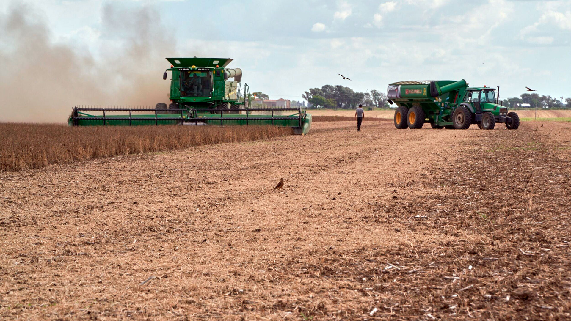 Una cosechadora atraviesa un campo de soja en una explotación afectada por la sequía en San José de la Esquina, Argentina, el 6 de abril (Bloomberg)