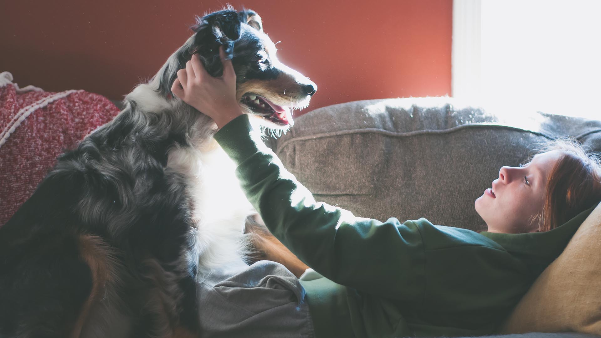 Acariciar a nuestro perro aumenta los niveles de oxitocina (Getty Images)
