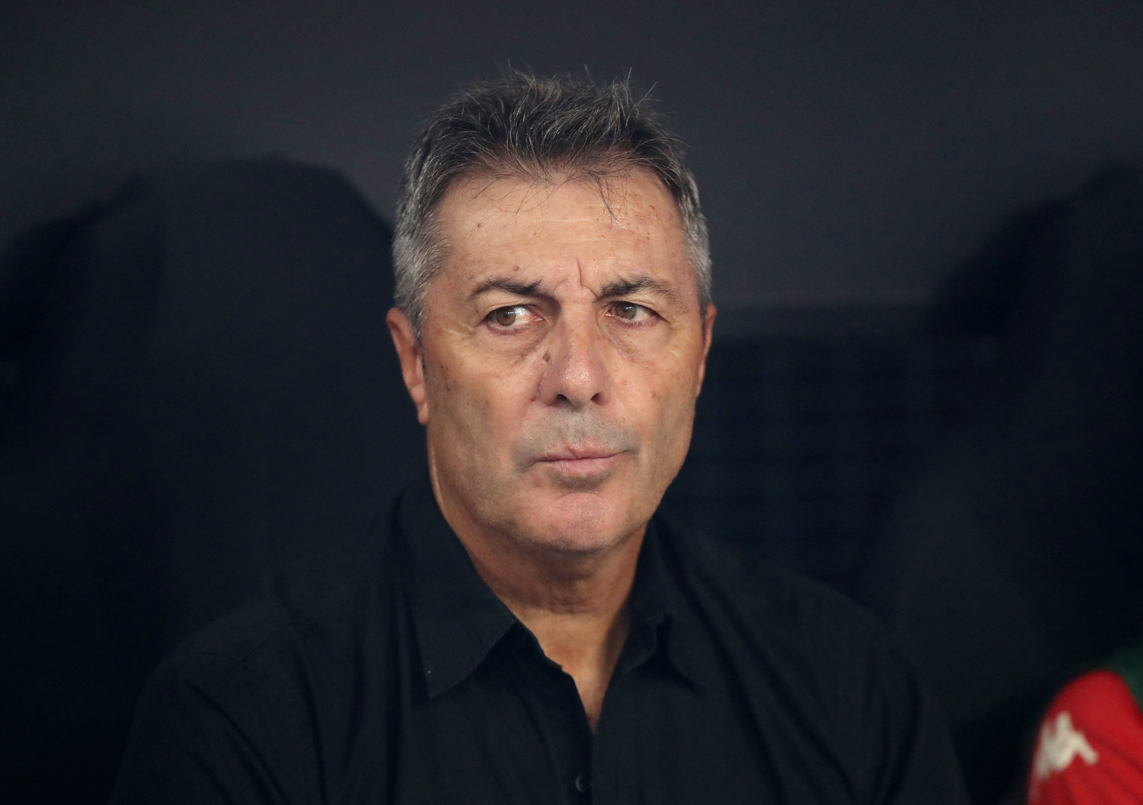 La metamorfosis secreta del erizo de mar: cómo funciona su sorprendente “todo-cerebro”