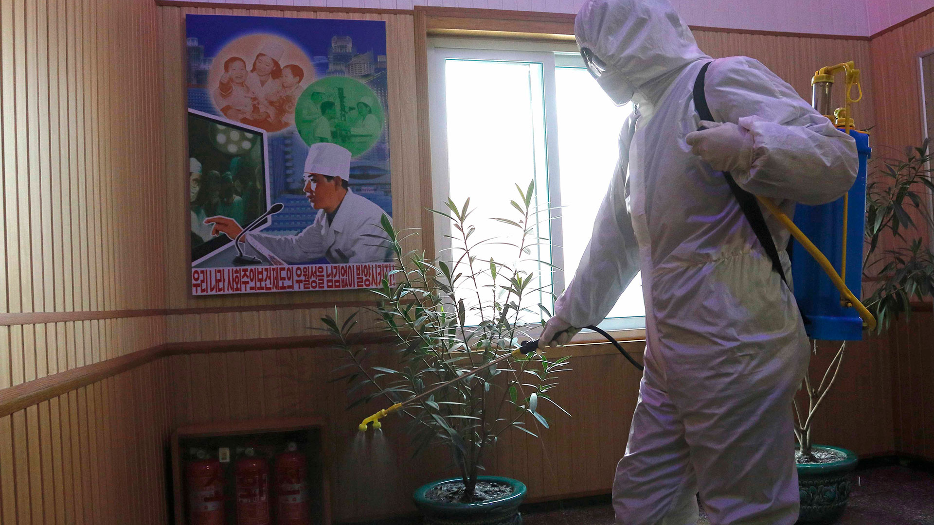 A health worker disinfects an office in North Korea, following the country's first confirmed COVID cases.  (AP)