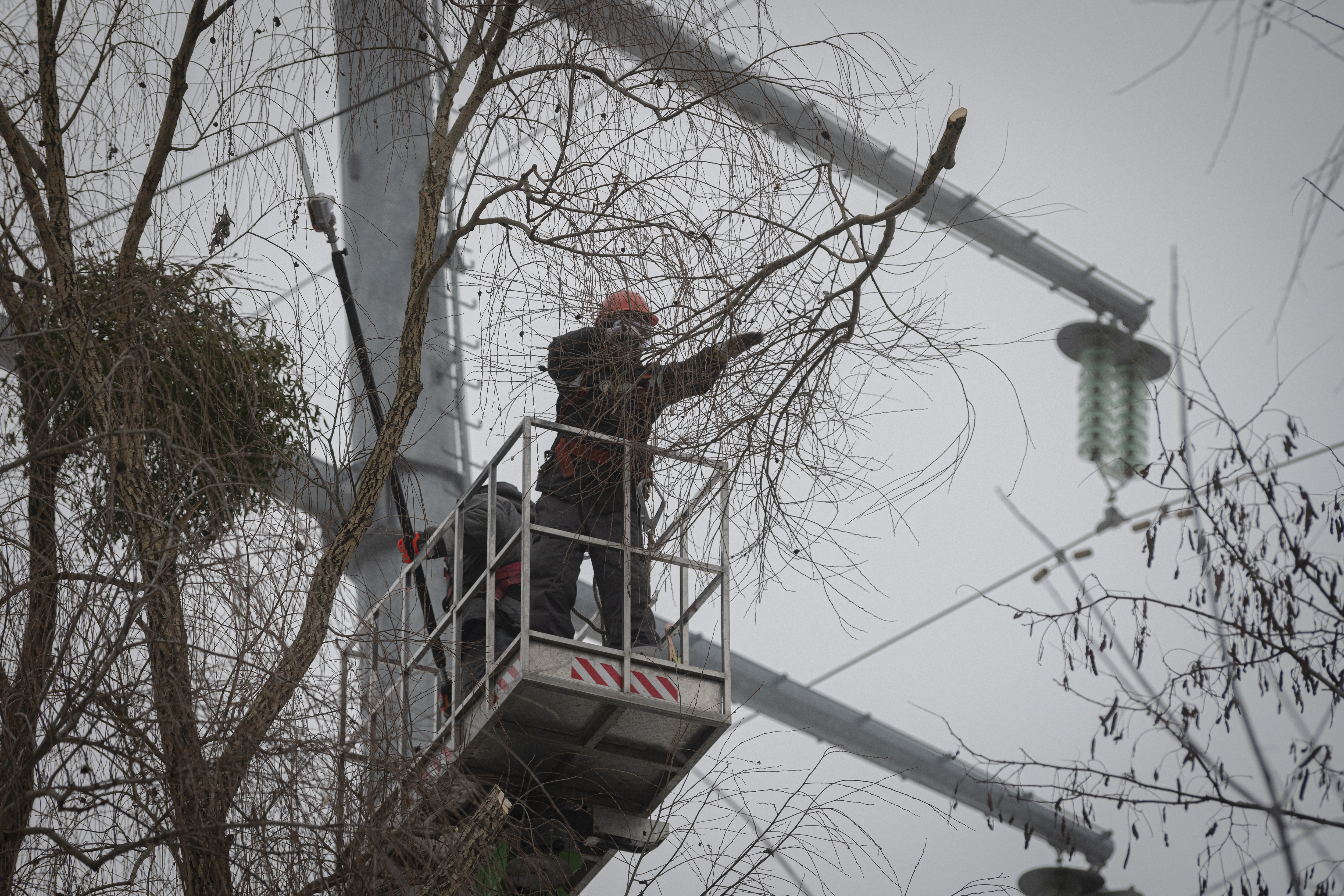 Trabajadores de la empresa eléctrica DTEK dan mantenimiento a cables eléctricos cortando el exceso de ramas en Kiev (AP Foto/Andrew Kravchenko)