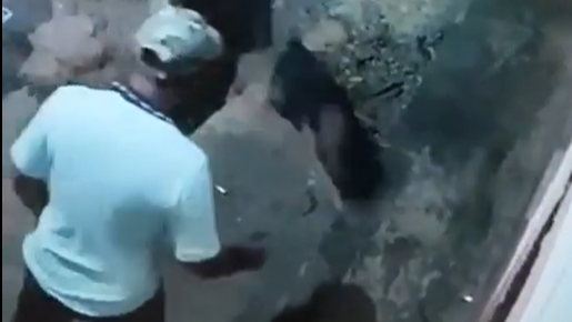 A man stabbed a dog for urinating in front of his house in Santa Marta.  / Video frame @lorenzo_bonilla