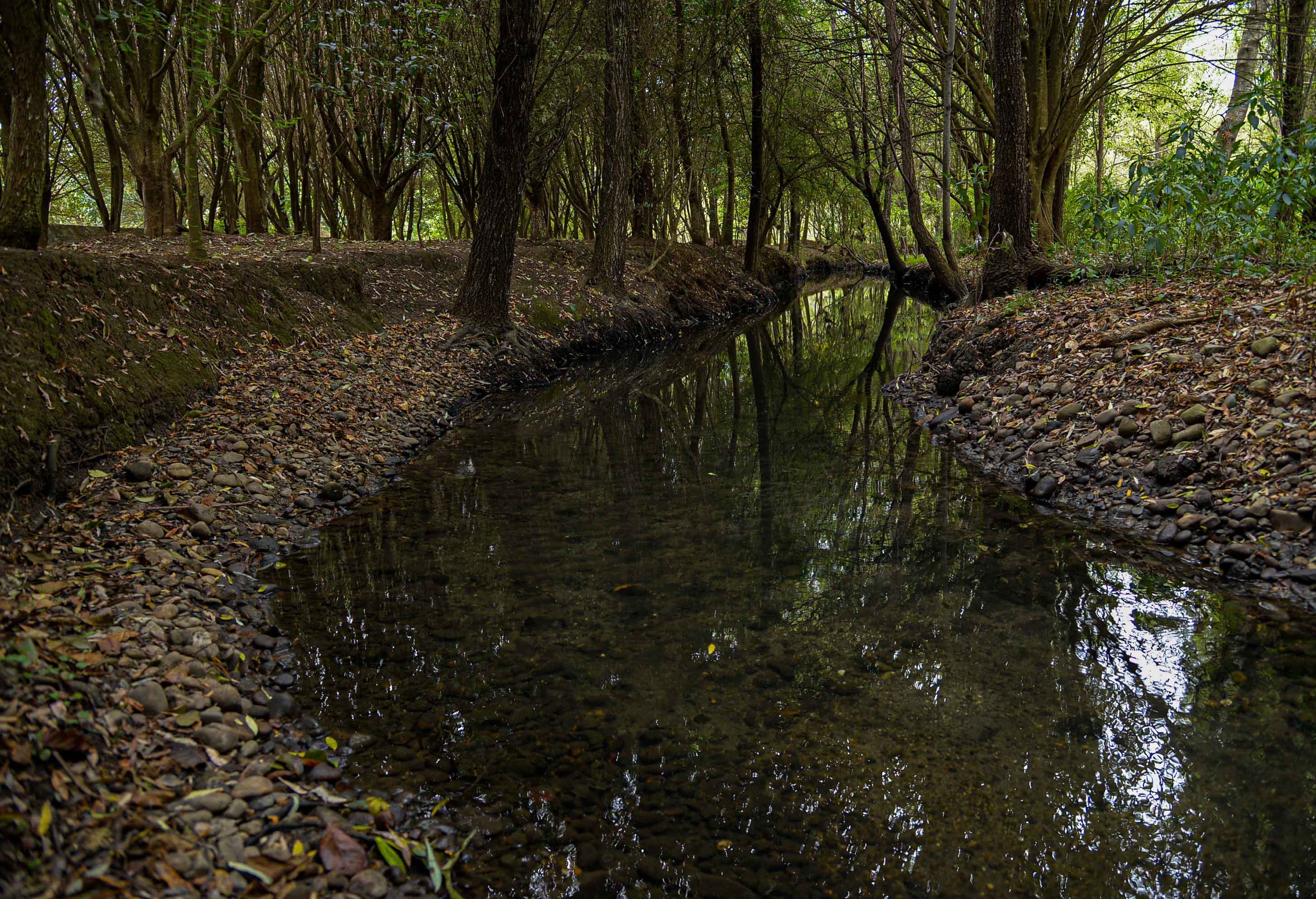 La falta de infraestructura limita el acceso al agua en Chiapas - Infobae