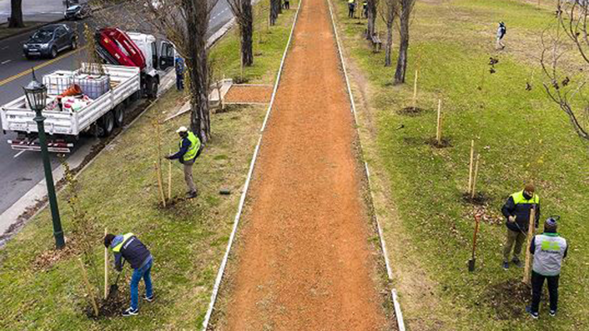 La Ciudad plantará más de 16 mil árboles antes que termine 2021 - Infobae