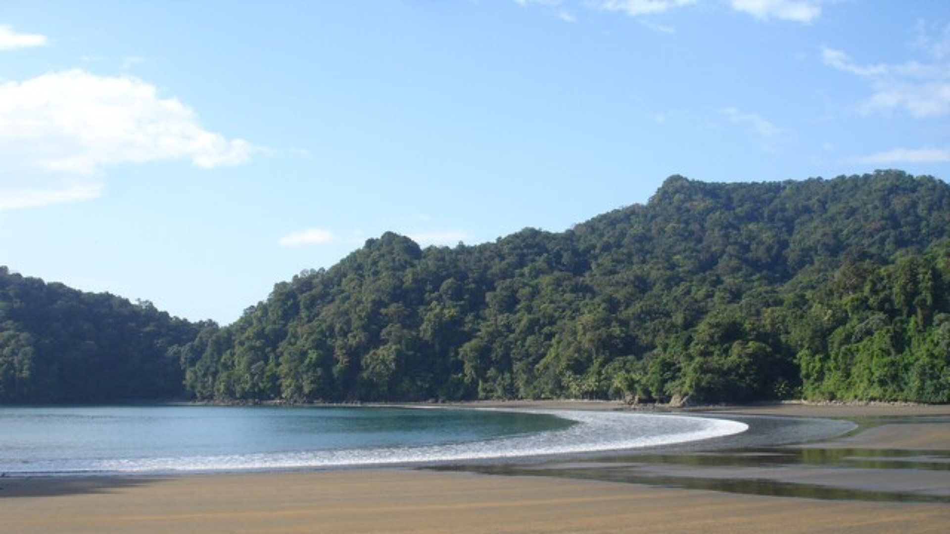 Bahía Solano, una joya del turismo colombiano ideal para visitar en agosto  - Infobae