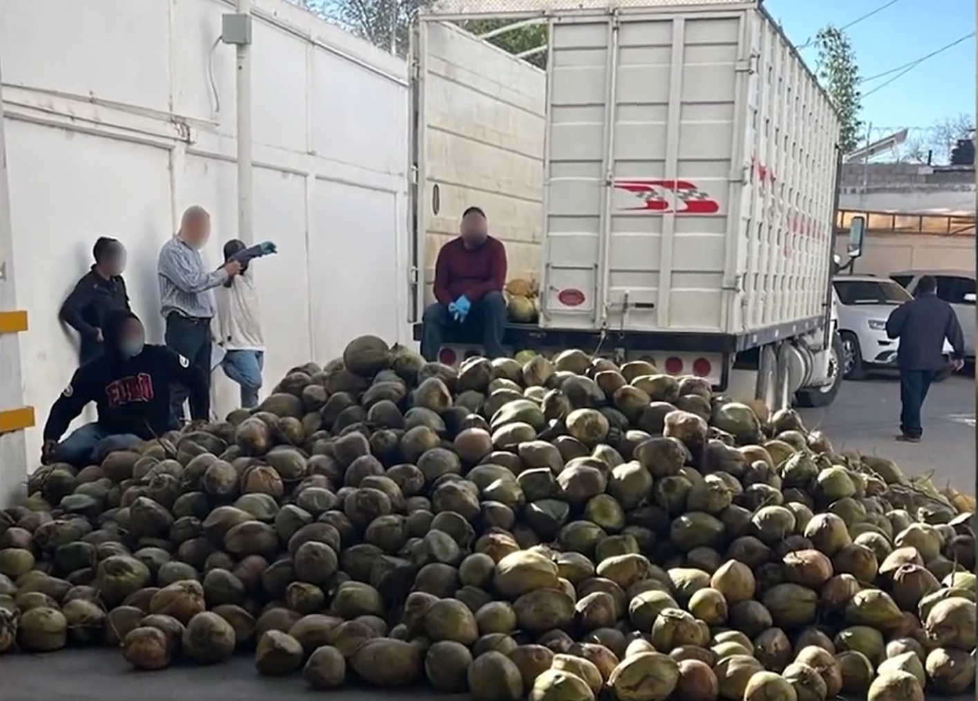 FGR encontró 300 kilos de fentanilo escondidos dentro de cocos en Sonora