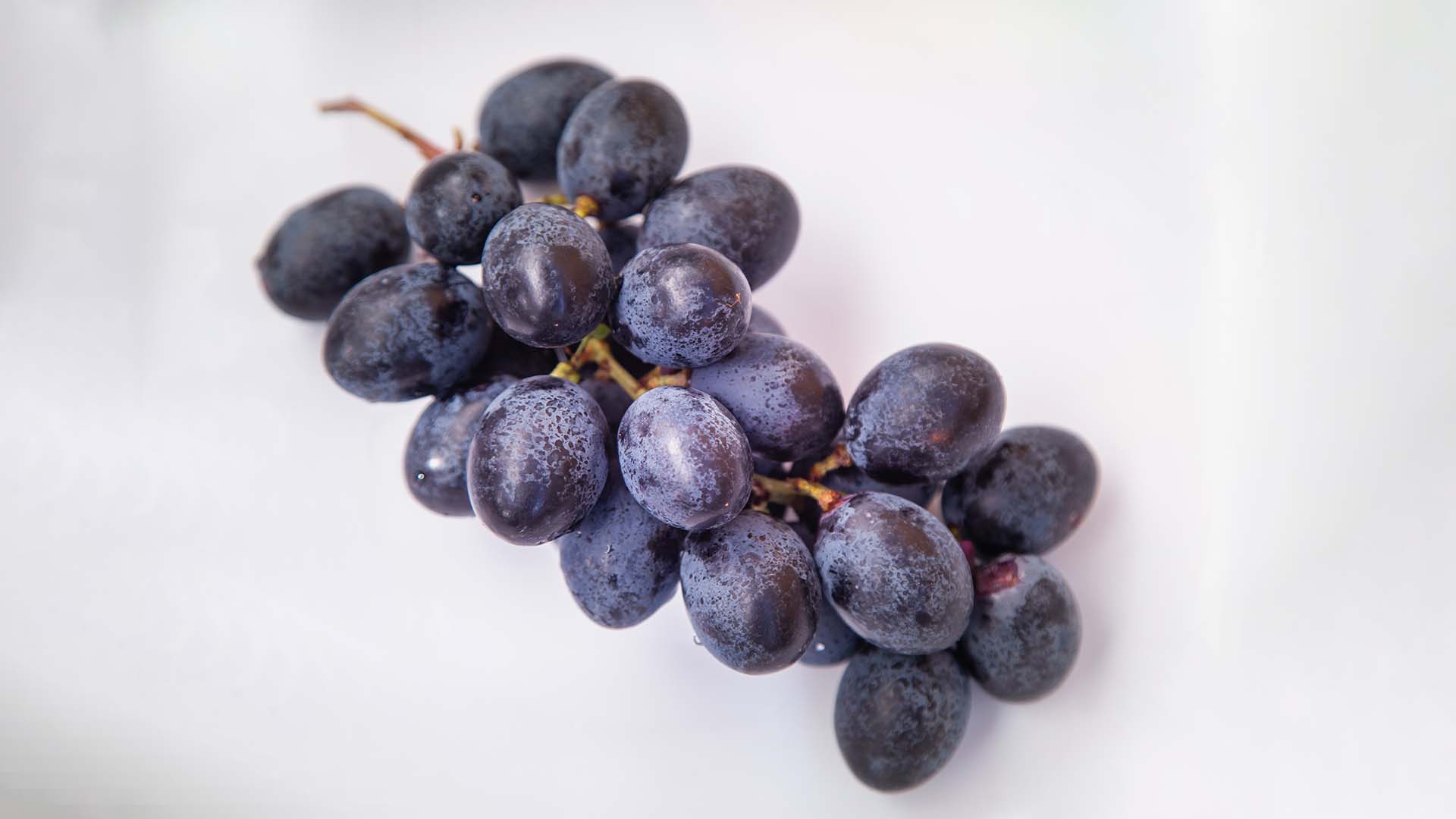 Al momento de elegir uvas se deben considerar características como la textura y la firmeza (Foto/Gettyimages)