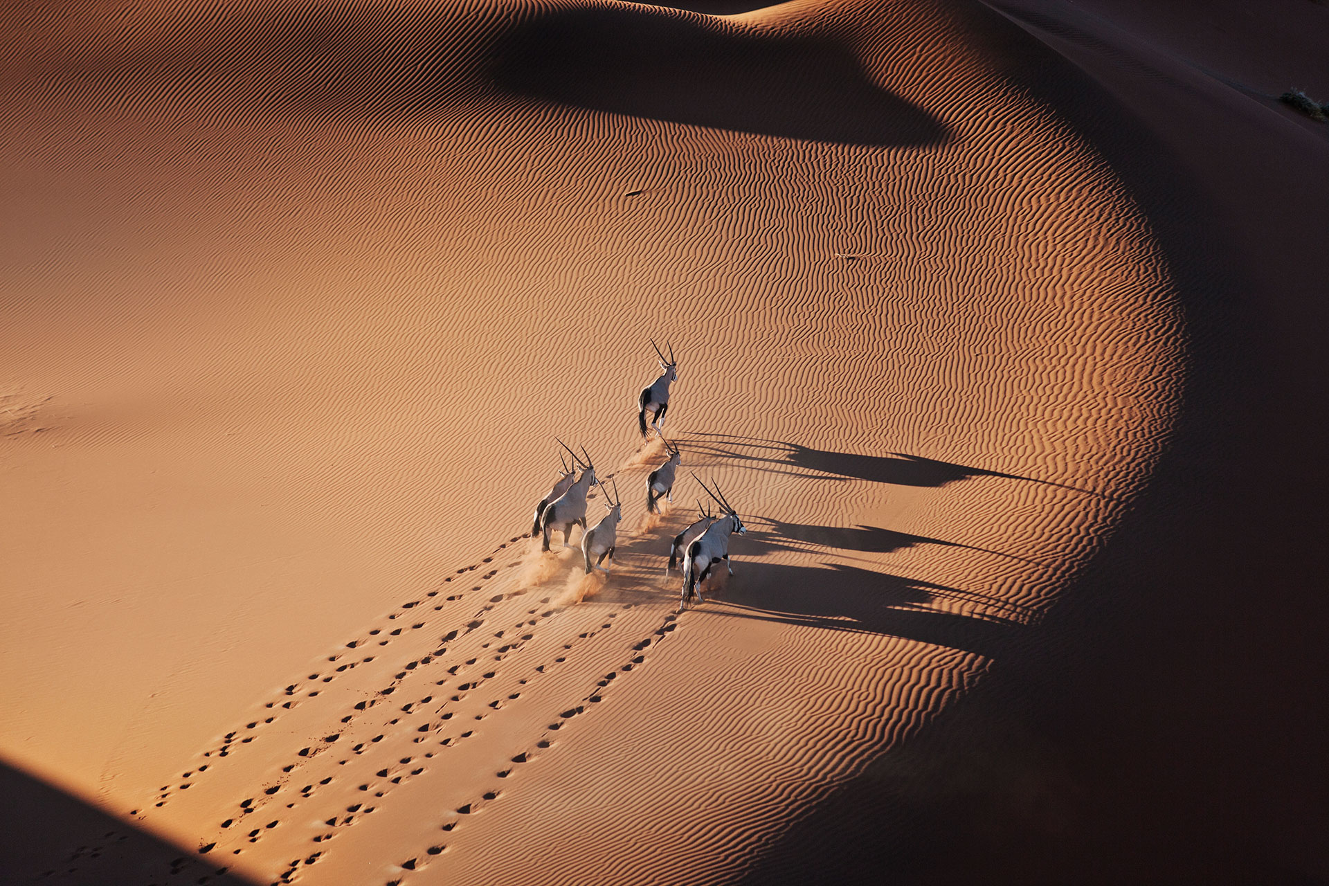 El desierto del Namib también conocido como Sossusvlei se formó hace más de 65 millones de años (Getty Images)