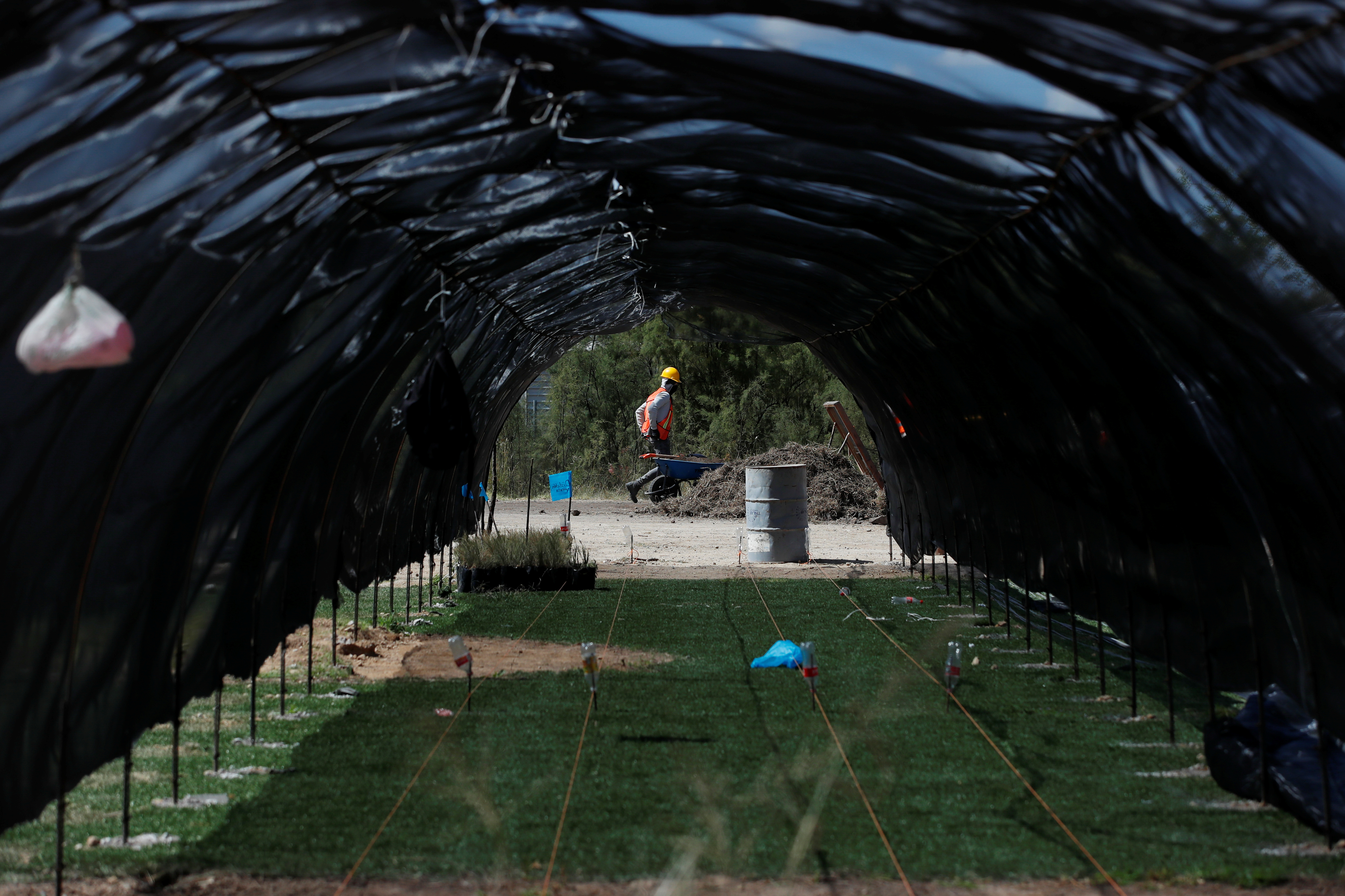 Trabajadores preparan plantas nativas en el centro de jardinería cerca de la zona cancelada del aeropuerto como parte de un proyecto para conservar 12,200 hectáreas de tierra en Texcoco en las afueras de la Ciudad de México, México, 3 de septiembre de 2020. Fotografía tomada el 3 de septiembre de 2020.