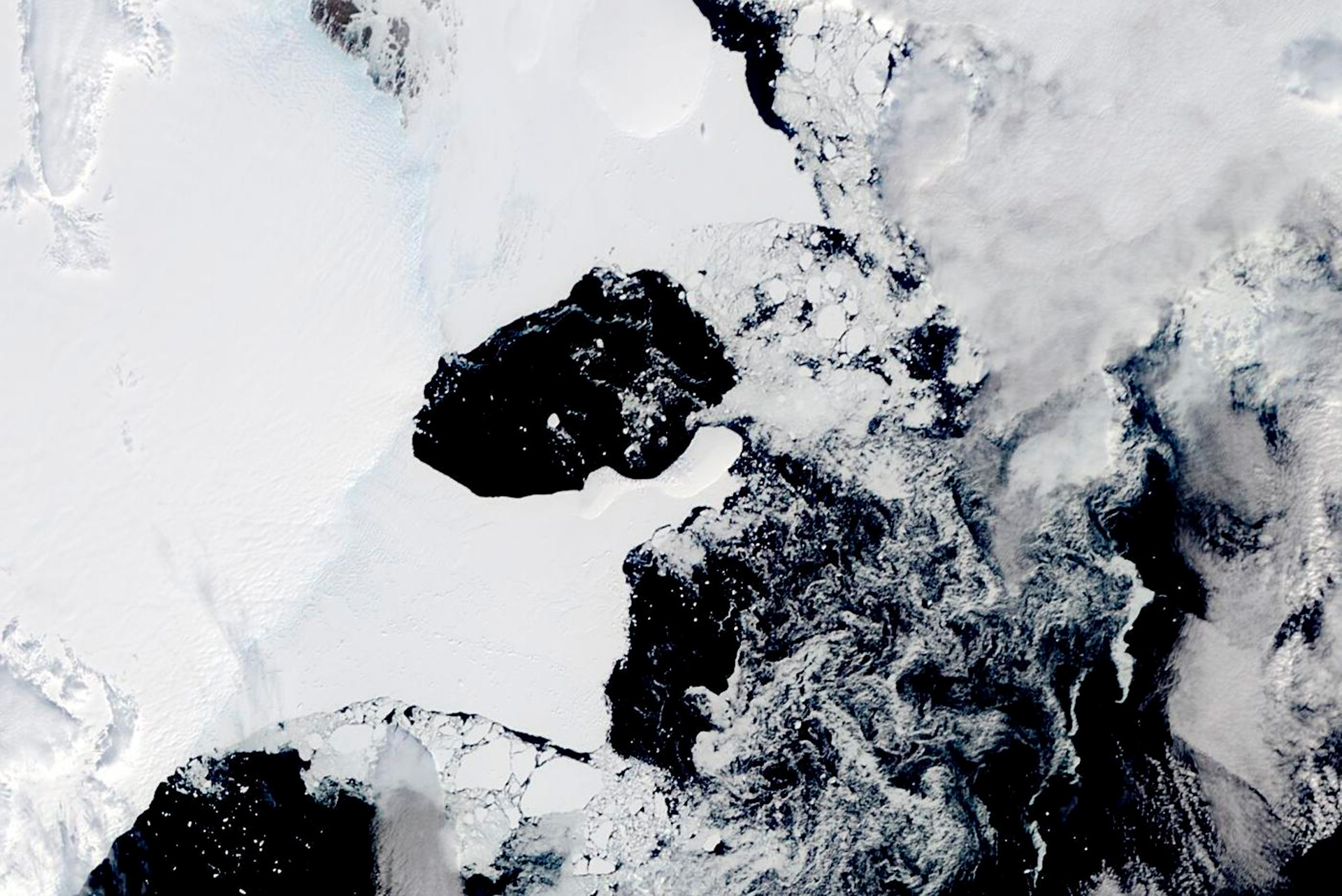 “Los cambios de la Antártida tienen profundas consecuencias para todos nosotros y no estamos seguros de cuán grandes serán”, aseguró el profesor Steven Chown