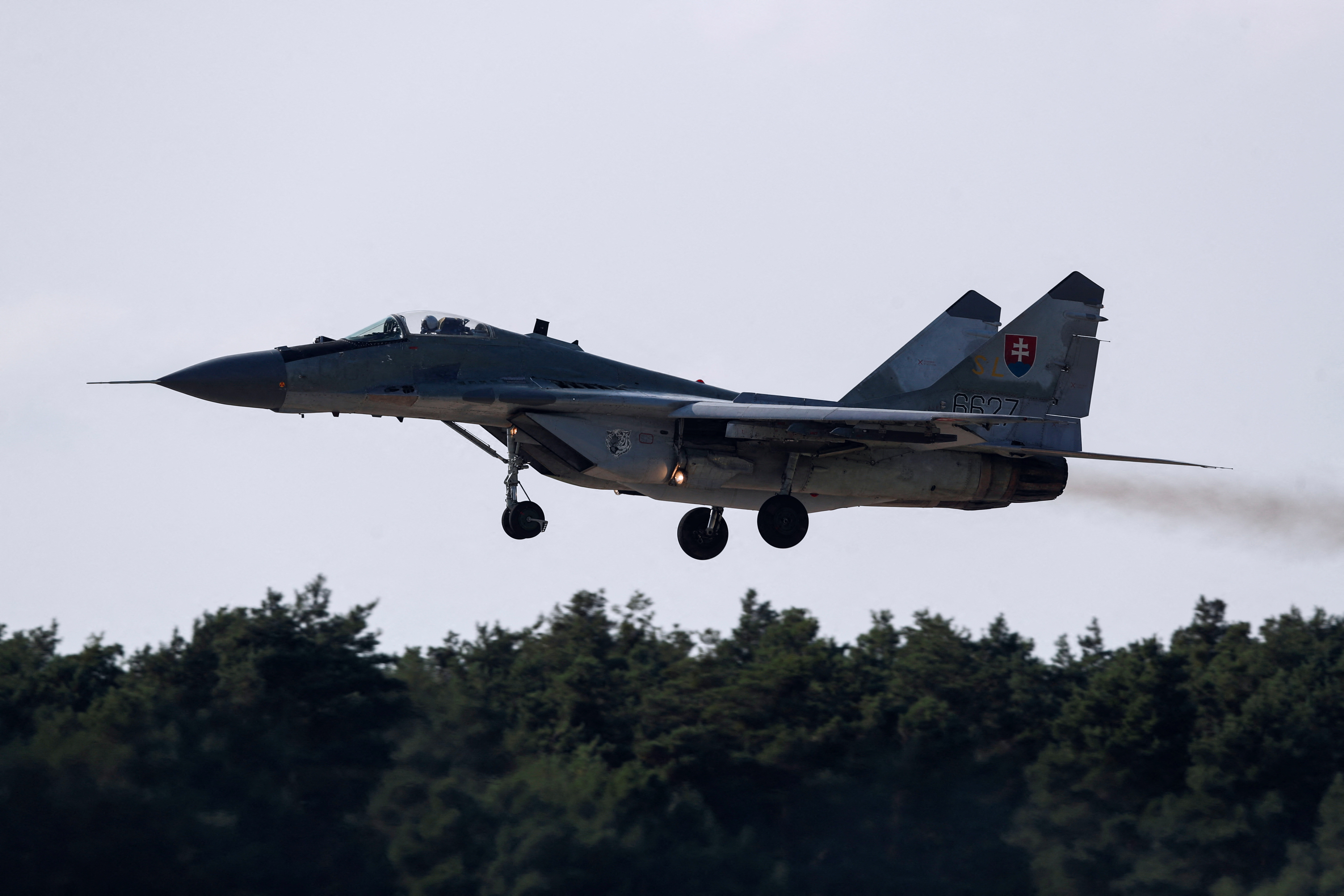 Un MiG-29 de fabricación rusa durante una exhibición en una base de Eslovaquia. (REUTERS/David W Cerny)