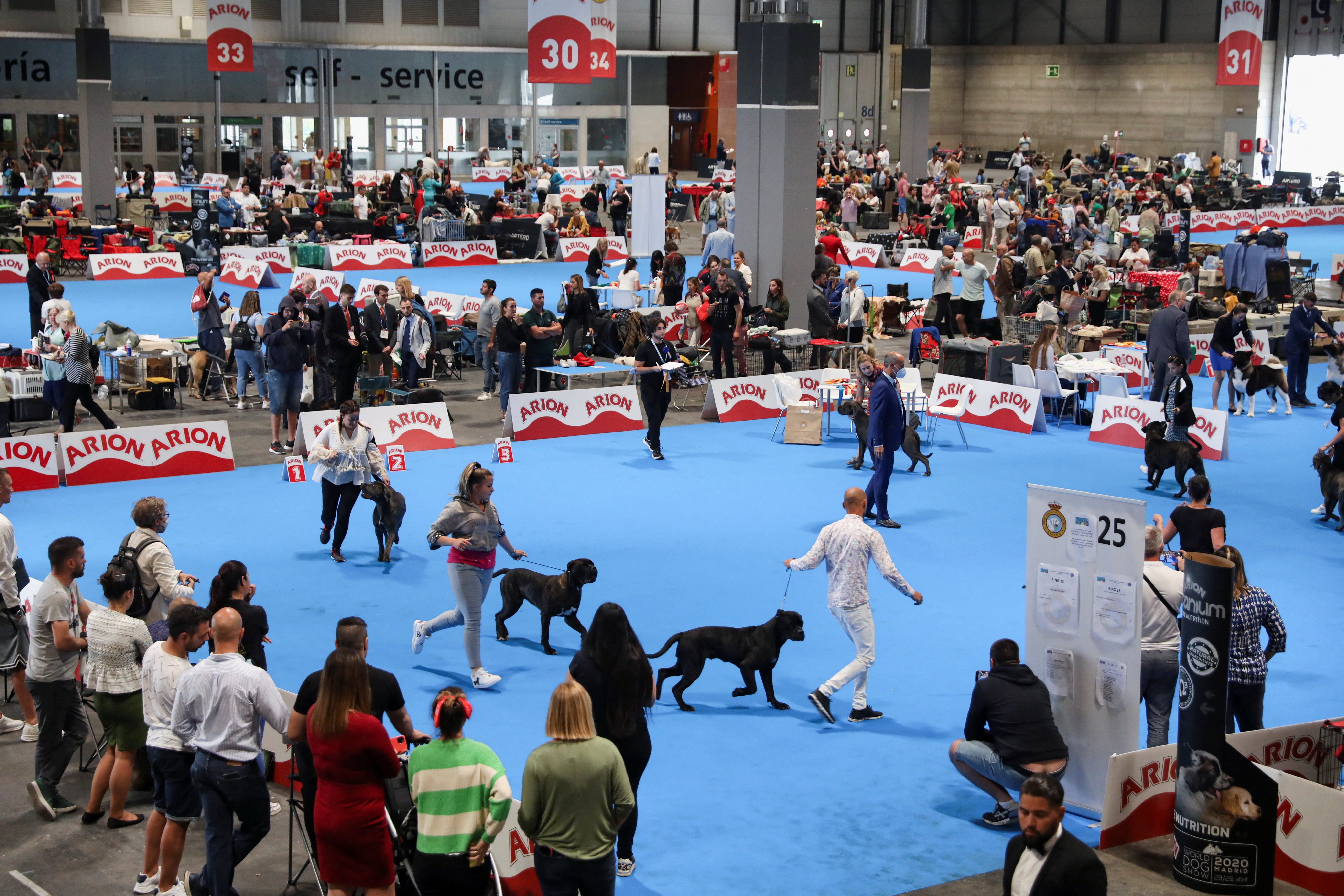 La convocatoria de la Exposición Mundial Canina se celebra desde hace medio siglo en diferentes capitales del mundo (REUTERS)