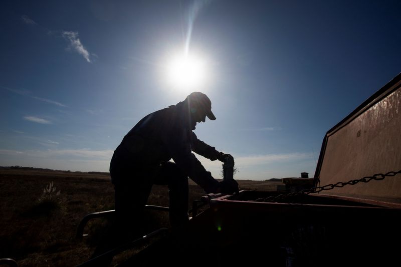 Los roedores que transmiten el hantavirus habitan áreas rurales (REUTERS/Matias Baglietto)