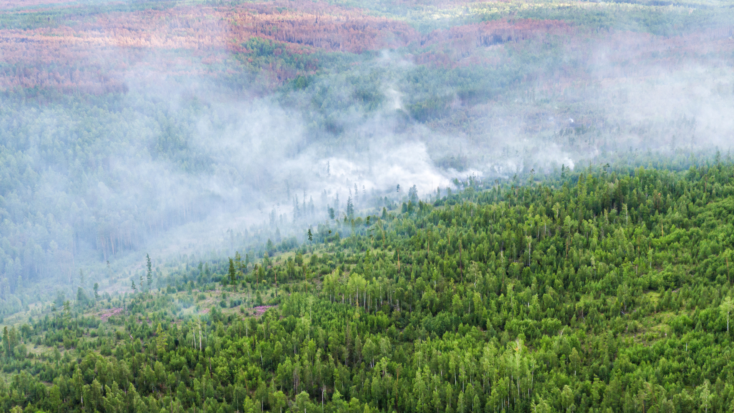 Humo en un bosque de la región de Krasnoyarsk (Julia Petrenko/Greenpeace via REUTERS)