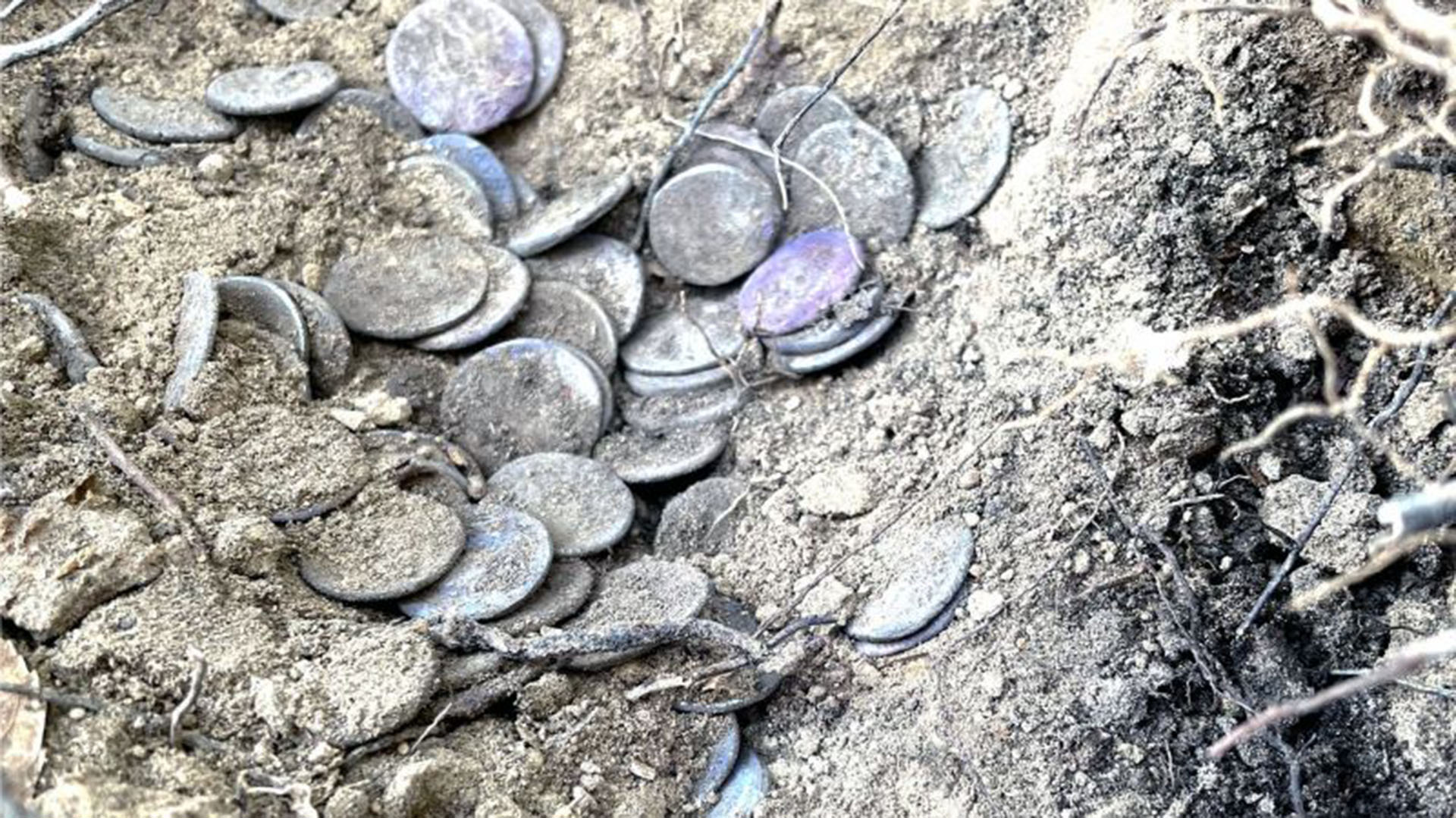 Hallaron Un Tesoro De 175 Monedas Romanas Que Cuenta La Historia De Un Soldado De Hace Dos