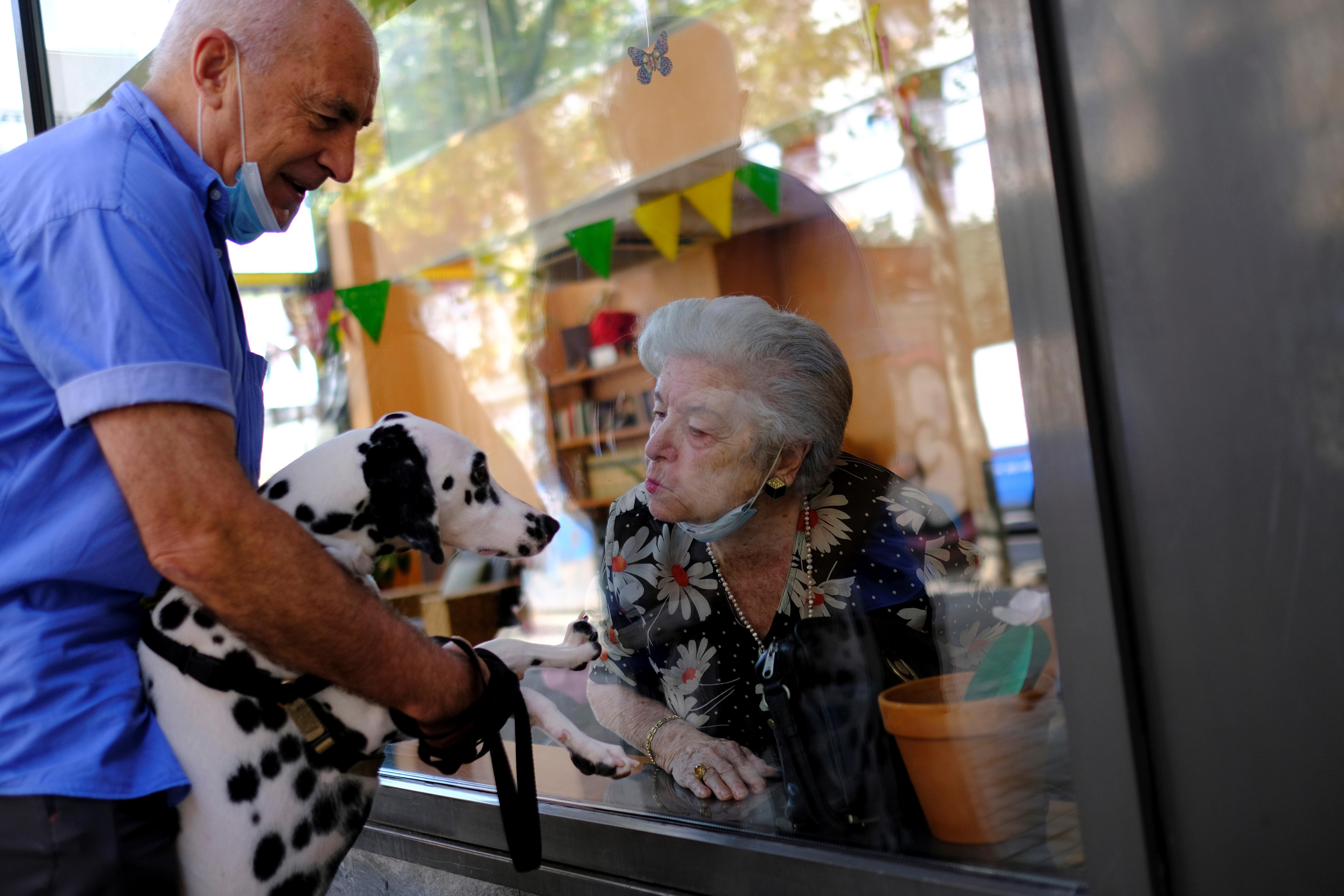 Nuestra cara es también leída por el perro y es por ello que los gestos complementan nuestro modo de contacto (REUTERS)