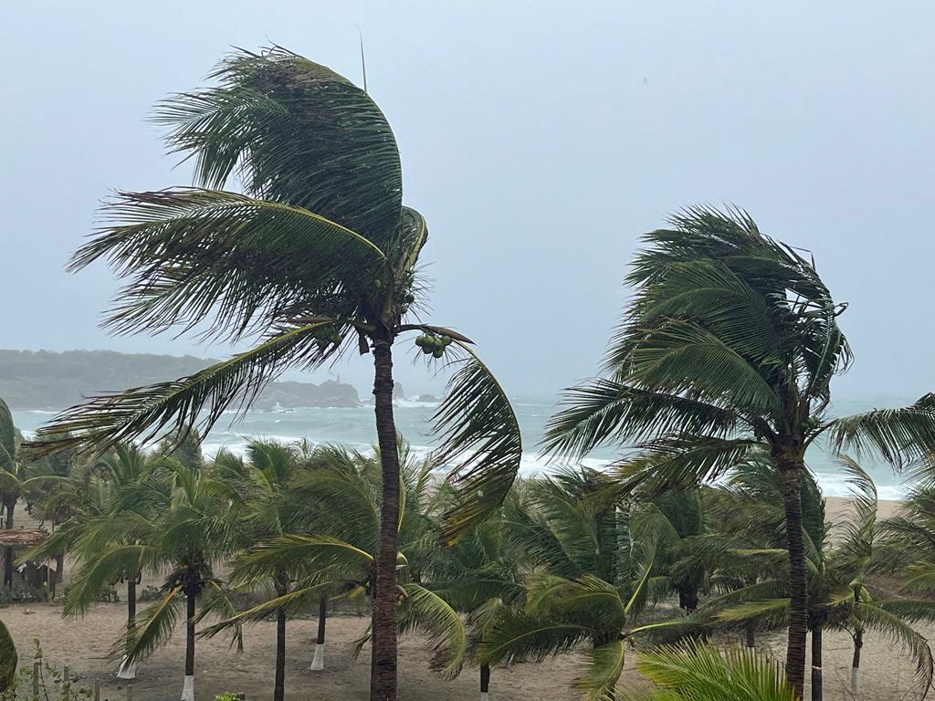 Palm trees sway in the wind as Hurricane Agatha pounds the southern coast of Mexico, in Puerto Escondido, Oaxaca state, Mexico, May 30, 2022. REUTERS/Jose de Jesus Cortes
