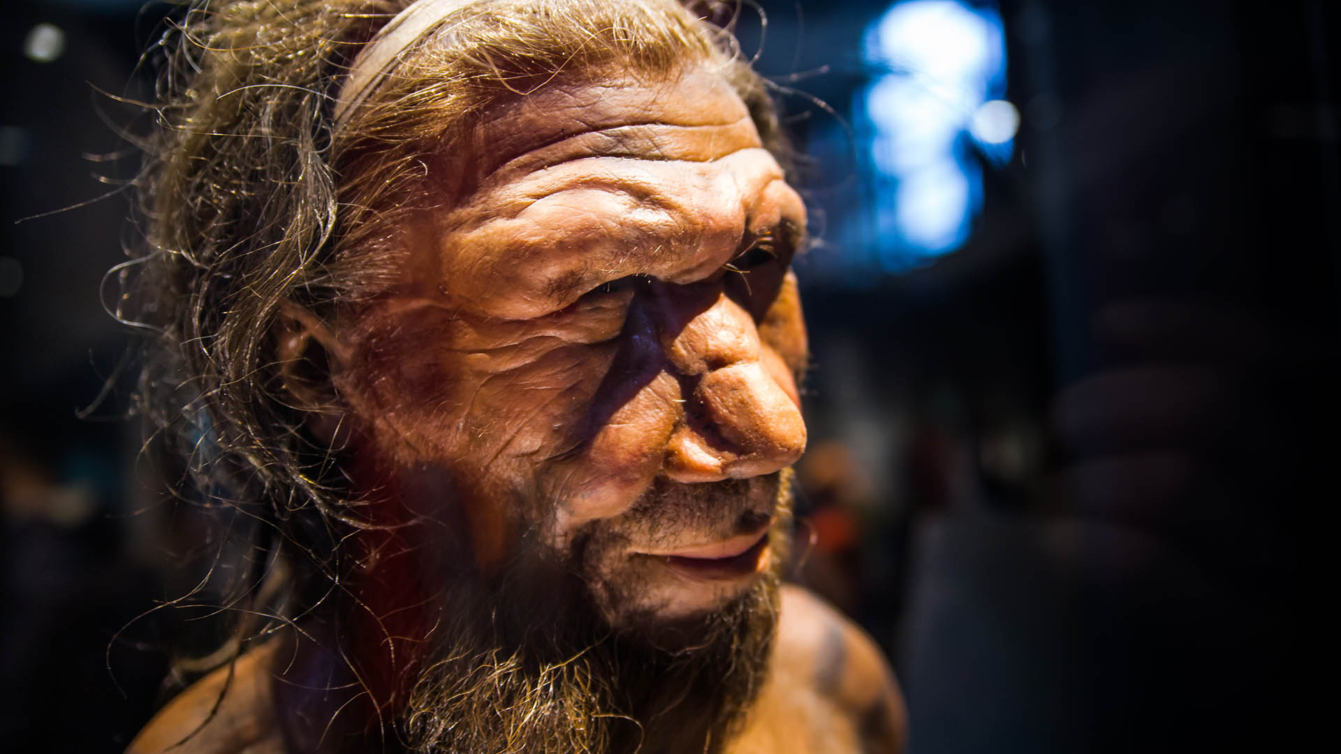 Una representación de un hombre de Neandertal (Shutterstock)