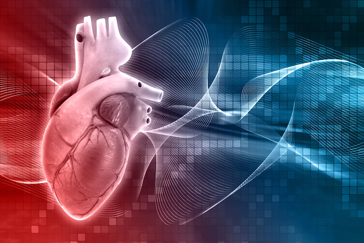 Las 3 herramientas al alcance de todos que permiten reducir el riesgo de enfermedades cardiovasculares