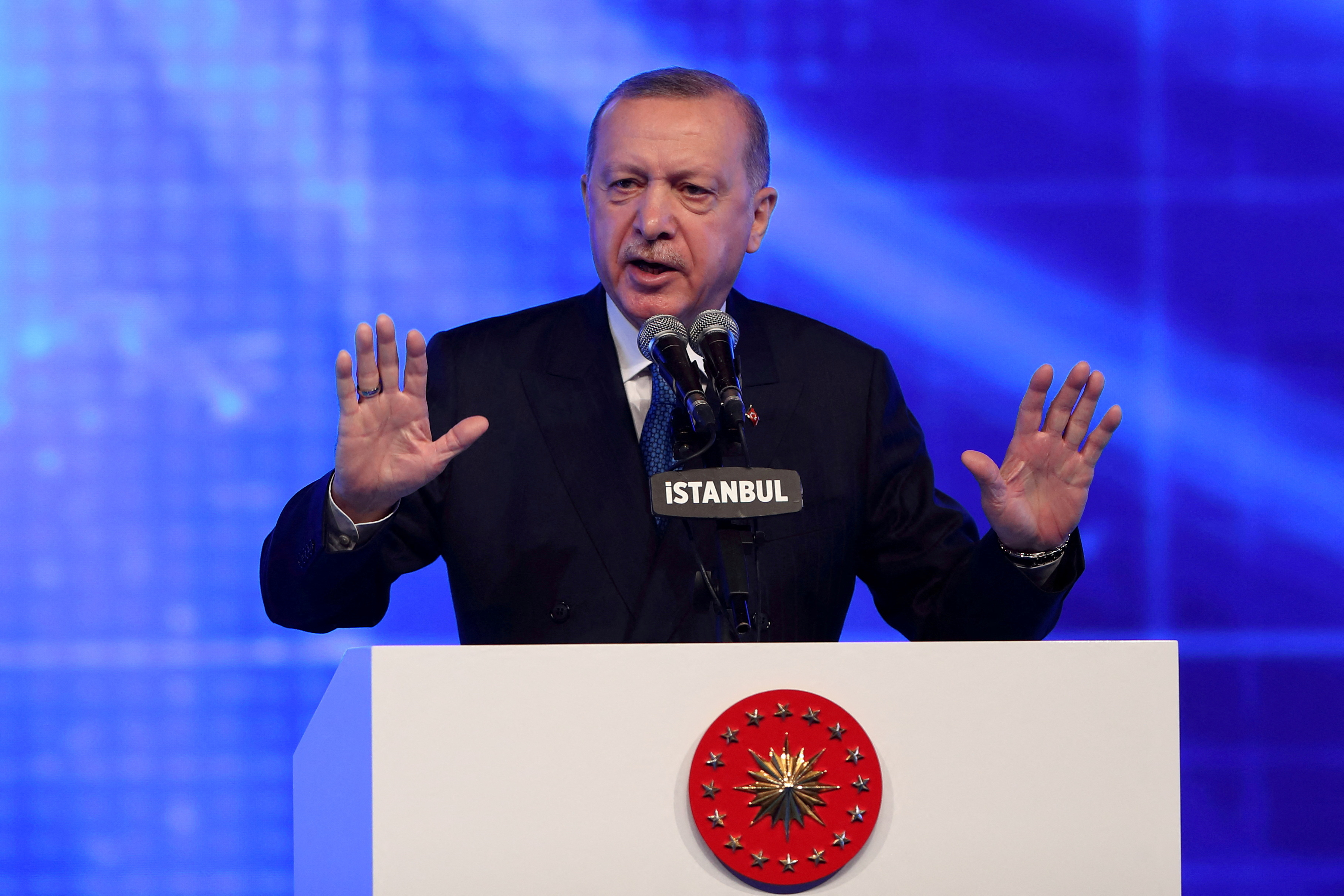 Tayyip Erdogan (Reuters)