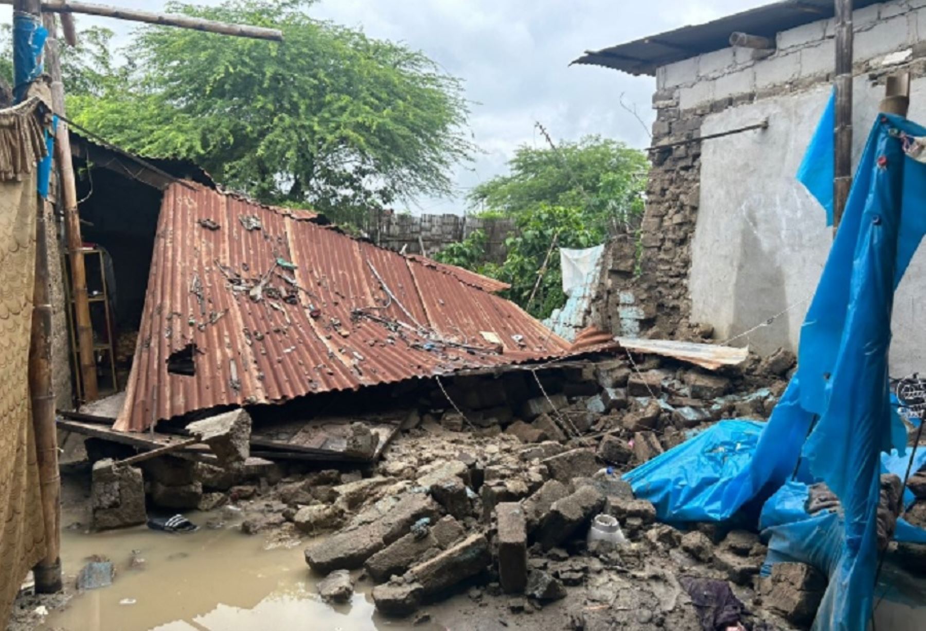 Lluvias en Perú EN VIVO: Tumbes, Piura y otras regiones continúan afectadas por las precipitaciones; y hay una suboficial fallecida 