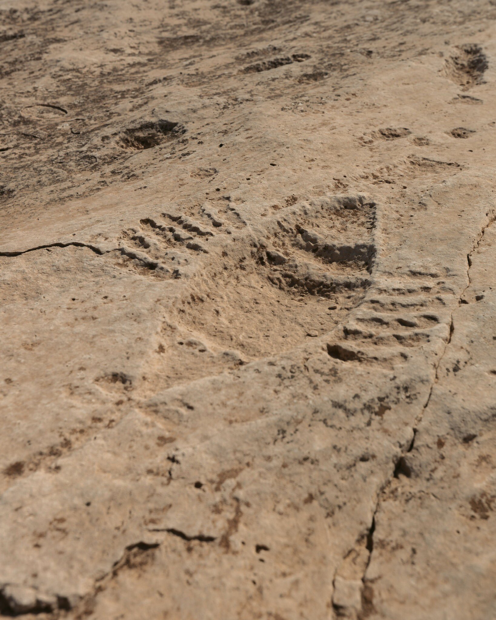 Otro de los patroglifos que más llamativos en la zona del desierto son los barcos. Para algunos vistos conforma de pez, por sus popas puntiagudas y remos a los costado. (FOTO: @VisitQatar)