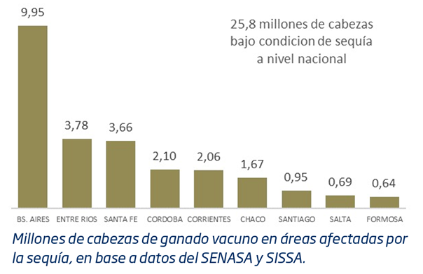 Casi 26 millones de cabezas de ganado sufren la escasez de agua y sus consecuencias