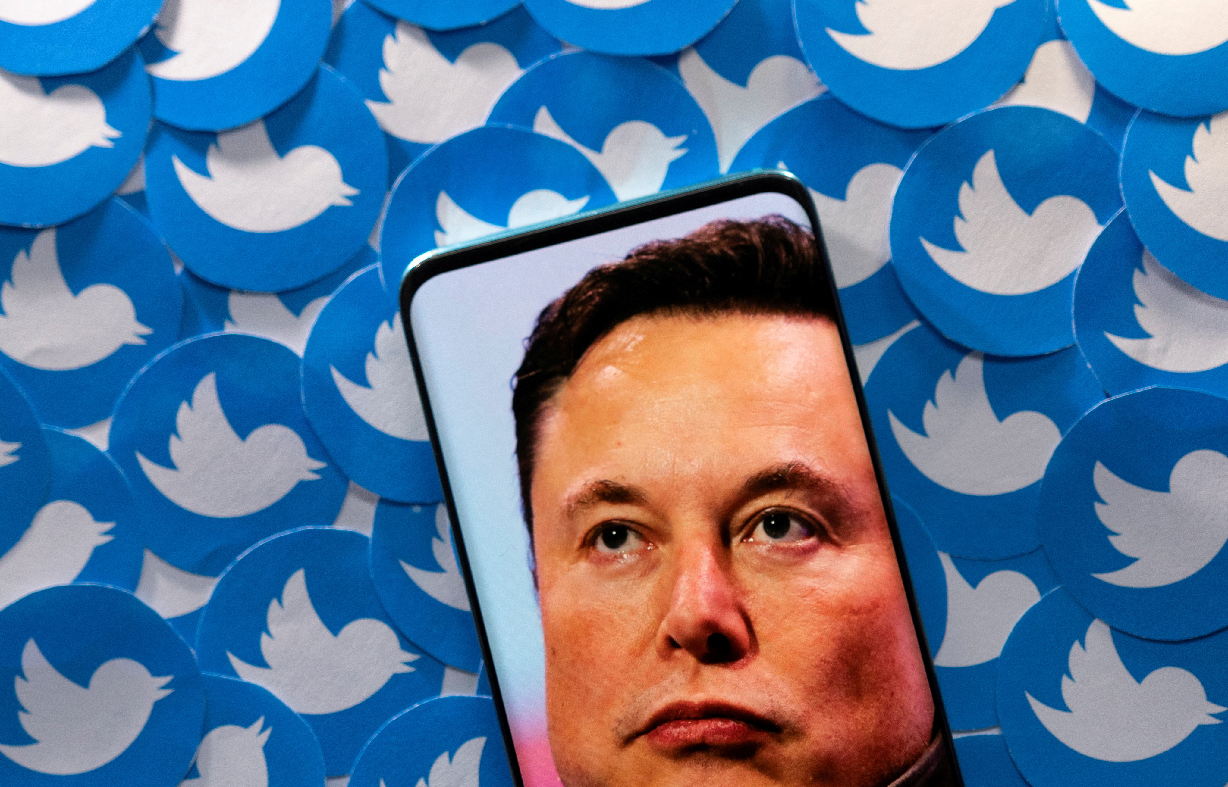 Elon Musk y Twitter. (foto: REUTERS/Dado Ruvic)