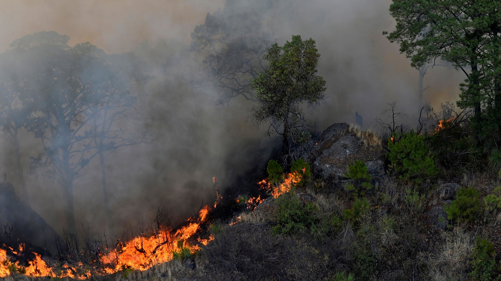 Vista de un incendio forestal, el 13 de abril de 2021, en el poblado de Tepoztlán, en el estado de Morelos, México (EFE)
