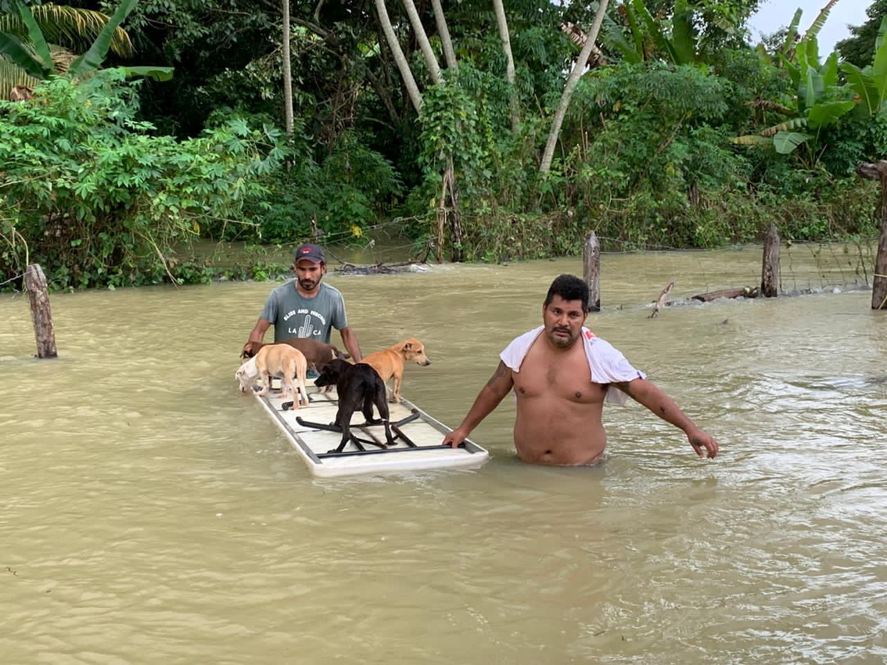 La gente camina en las inundaciones después de la tormenta tropical Eta y los frentes fríos en Macuspana, Tabasco, México, el 9 de noviembre de 2020 en esta imagen obtenida de las redes sociales. Foto tomada el 9 de noviembre de 2020 FOTO: Jesus Castellanos Perez/vía REUTERS 