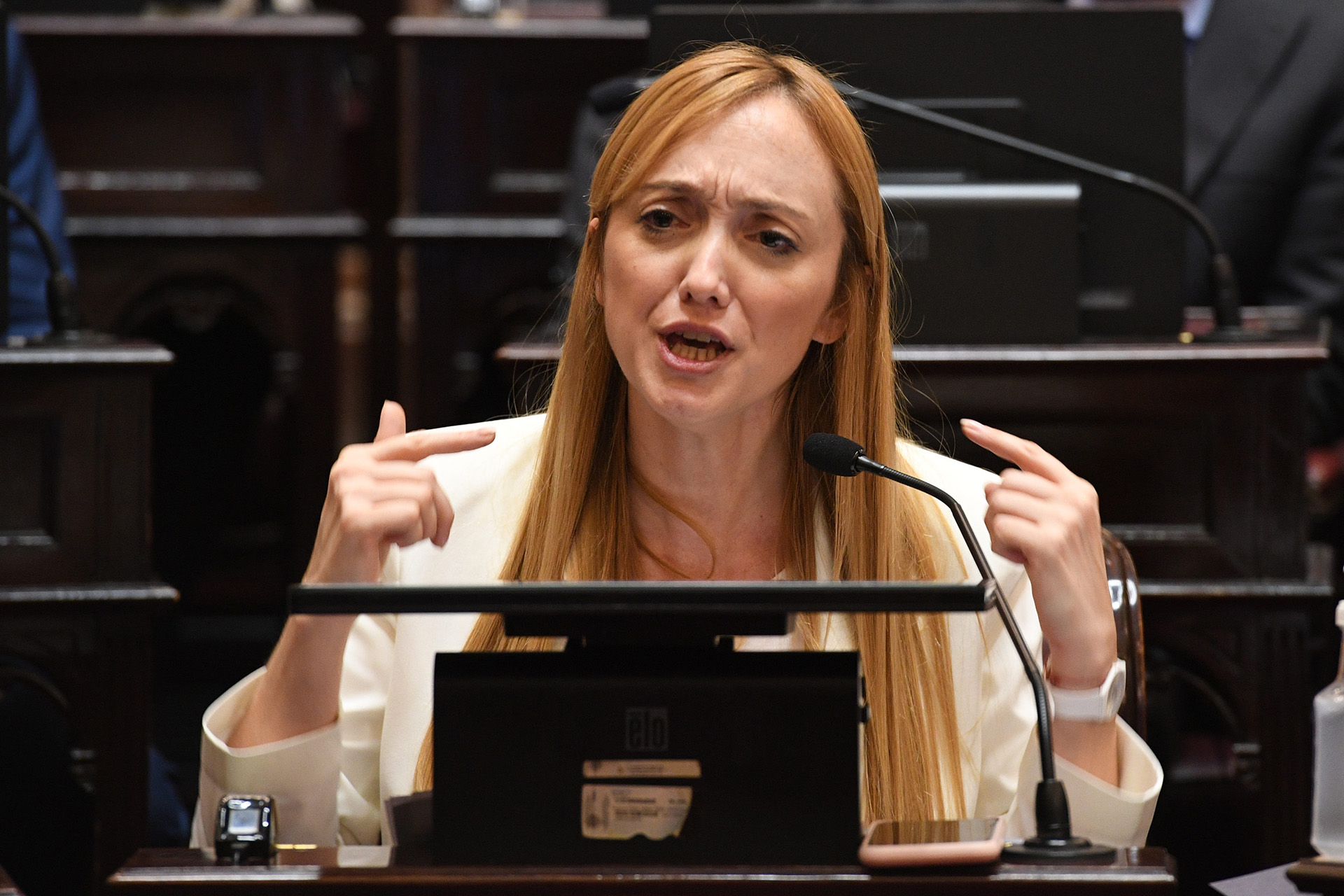 Anabel Fernández Sagasti, senadora mendocina del Frente de Todos