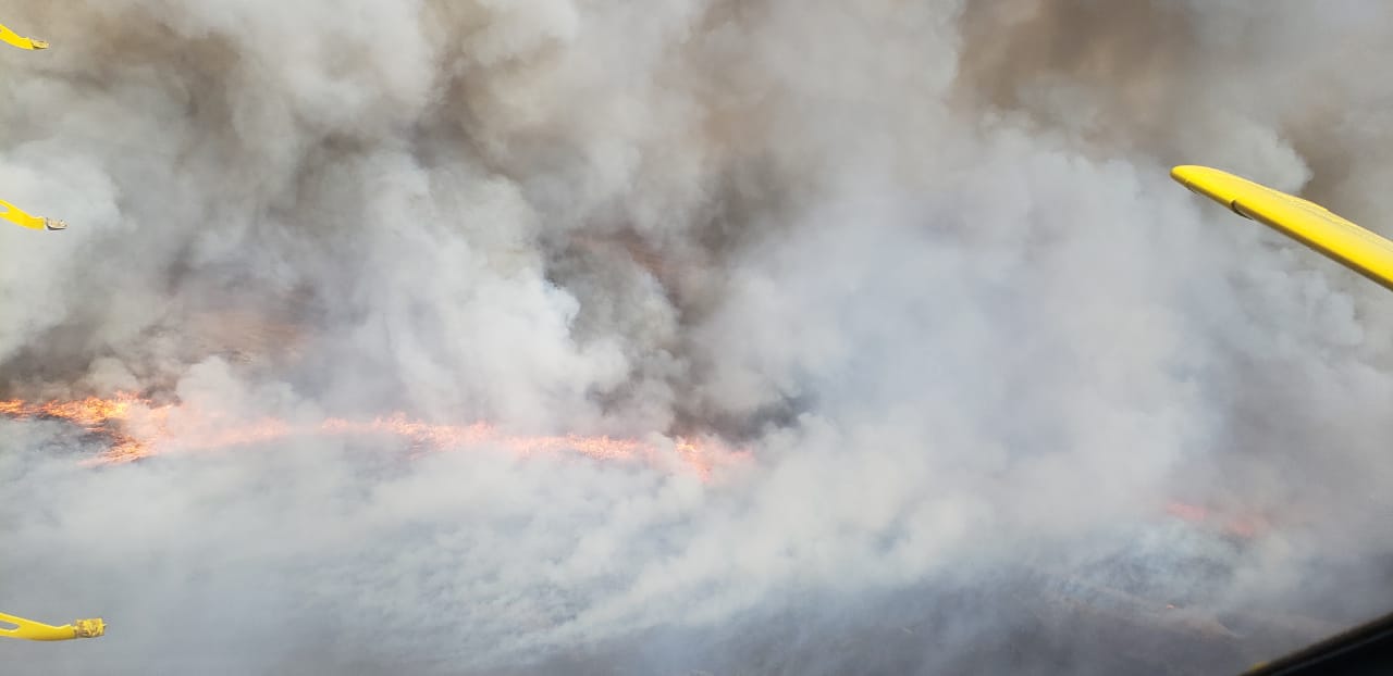 Desde 2019 hasta la actualidad se registraron más de 7.300 incendios que afectaron por lo menos 2.417.764 hectáreas en Argentina, de acuerdo a los números reportados por las provincias al Ministerio de Ambiente de la Nación