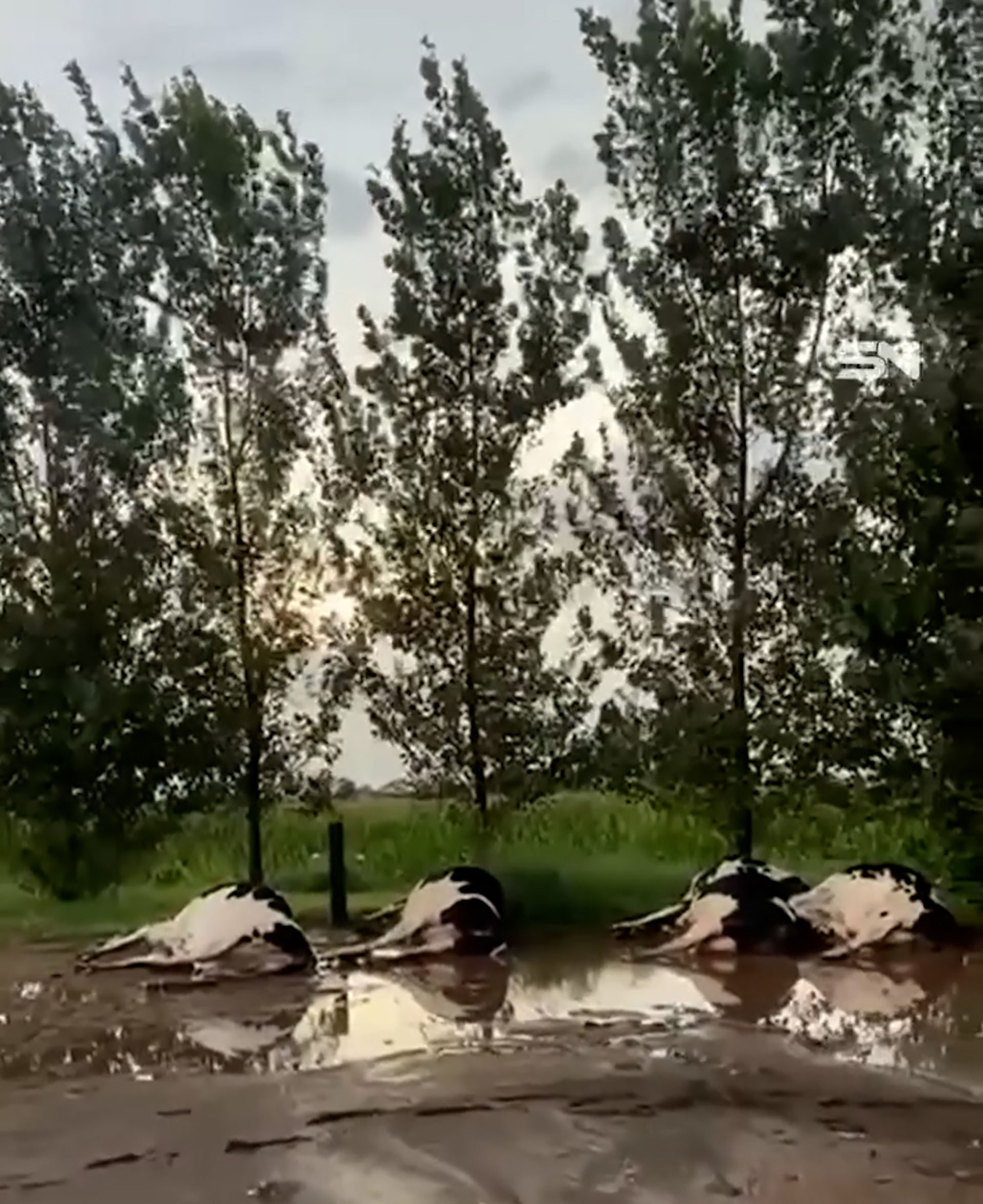 SUTEBA se suma al paro contra Axel Kicillof y peligra el inicio de clases en la Provincia de Buenos Aires