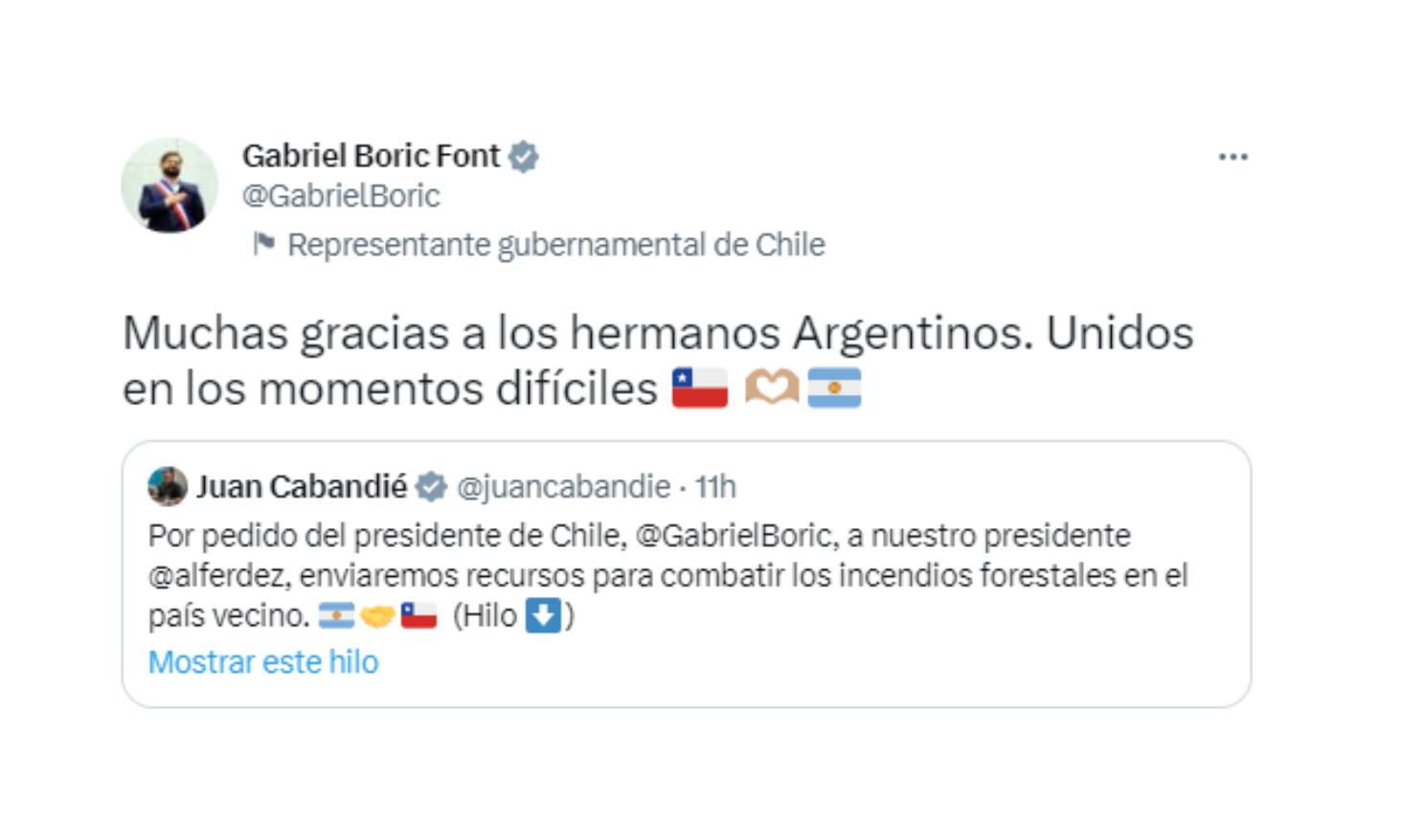 El presidente de Chile, Gabriel Boric agradeció la ayuda enviada por Argentina para combatir los incendios (Fuente: Twitter)