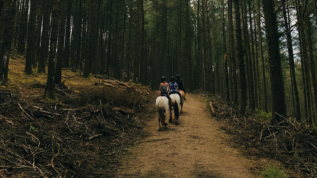 Una de las actividades del bosque es montar a caballo. (Foto: Alpino.com)