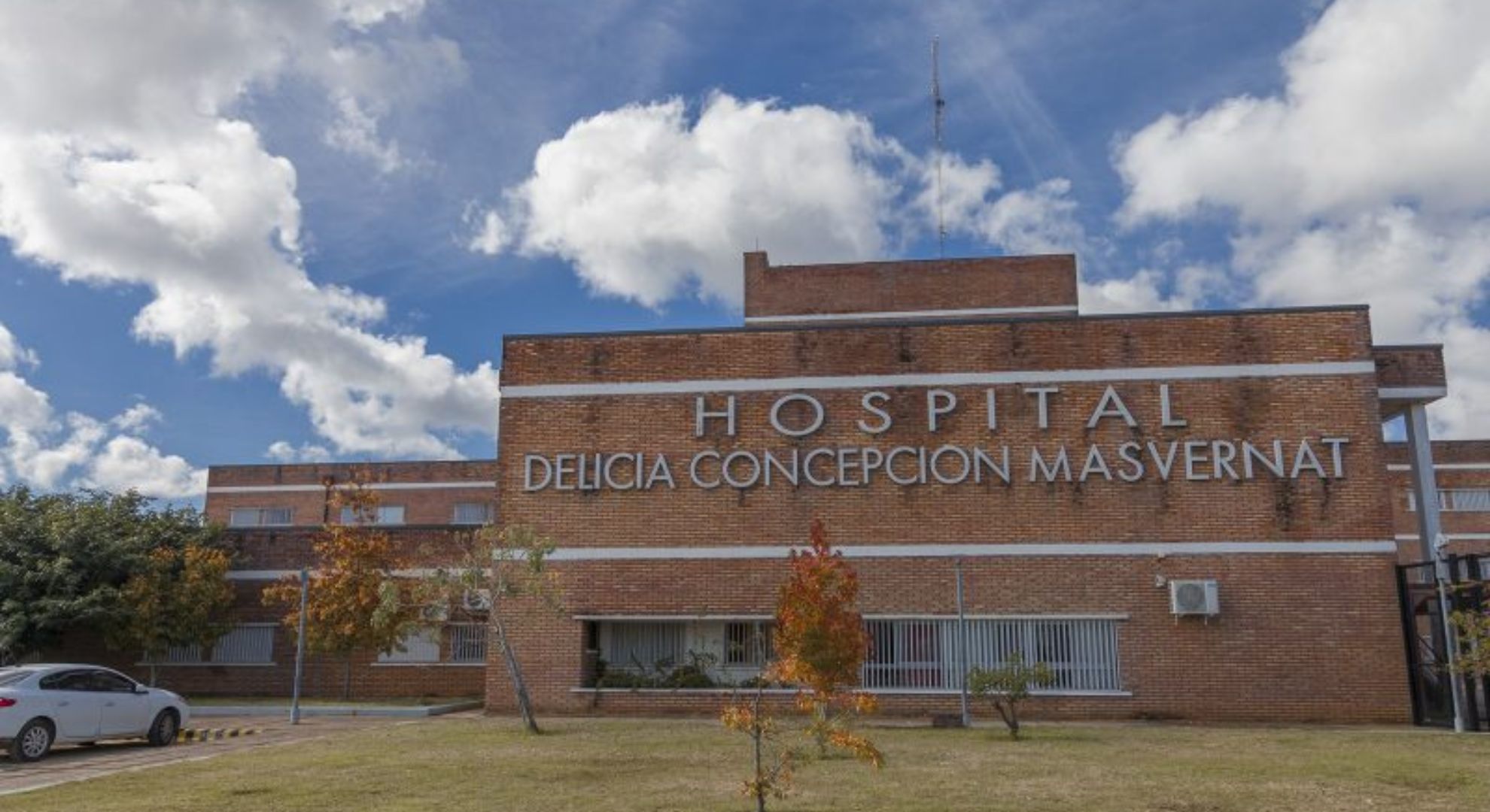 Una mujer de 76 a&ntilde;os muri&oacute; aplastada por un &aacute;rbol en medio del temporal que azot&oacute; al norte de Entre R&iacute;os