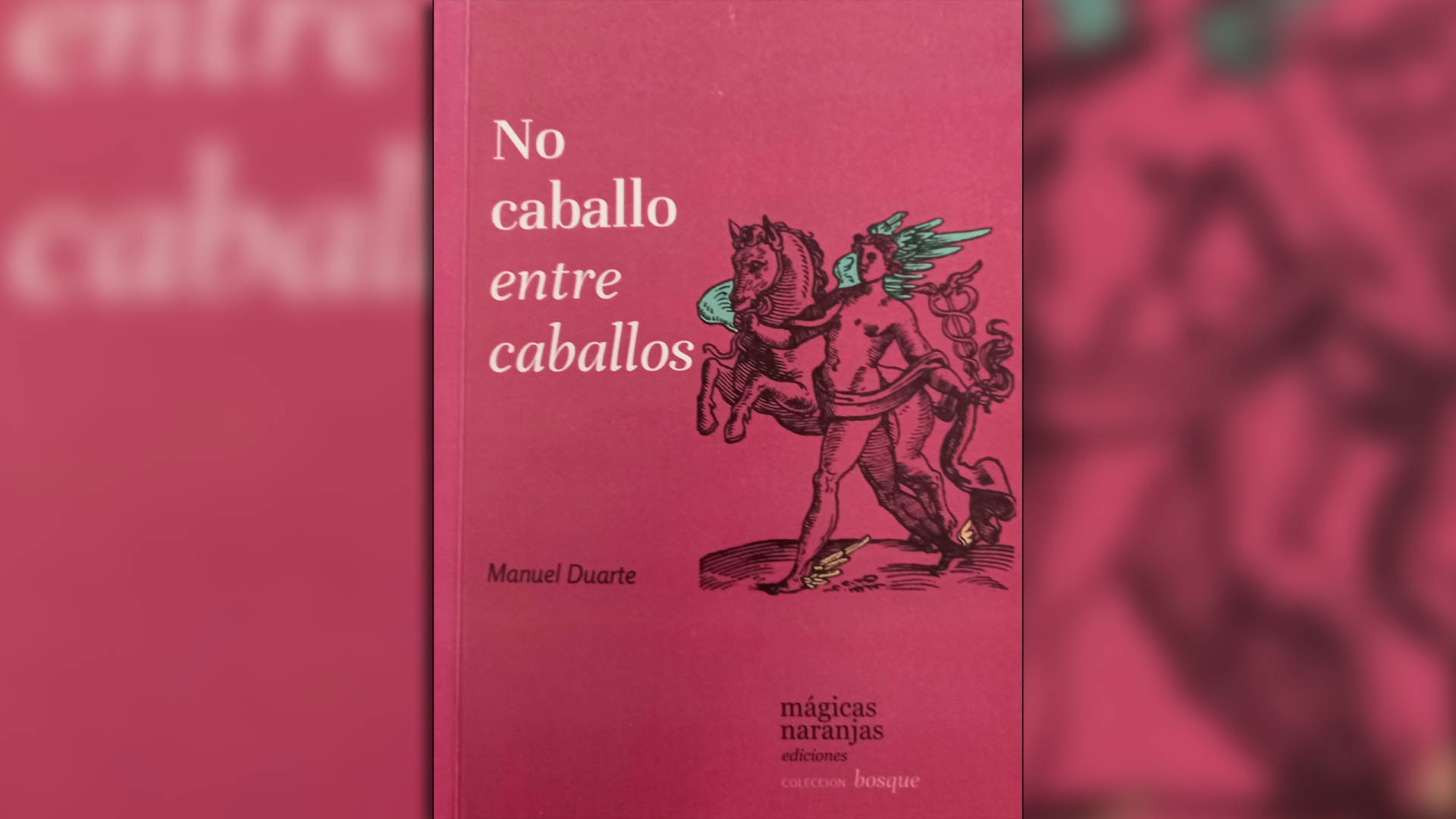 "No caballo entre caballos" (Mágicas naranjas). Escrito por Manuel Duarte, con comentarios de Alan Talevi, e ilustrado por María Valeria Chinnici