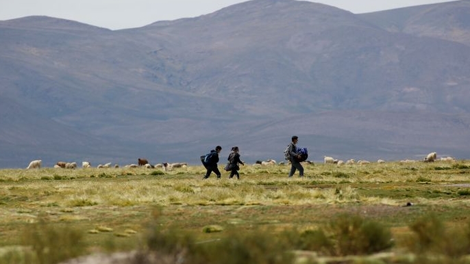 Migrantes venezolanos caminan por un sendero después de usar un cruce ilegal en la frontera con Bolivia, en Colchane, Chile (REUTERS/Álex Díaz/Archivo)