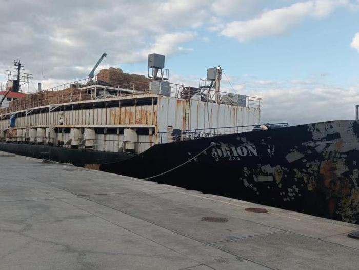 Caso ‘Narcovacas’: Barco que transportó los bovinos no tenía aval de la Unión Europea desde 2020