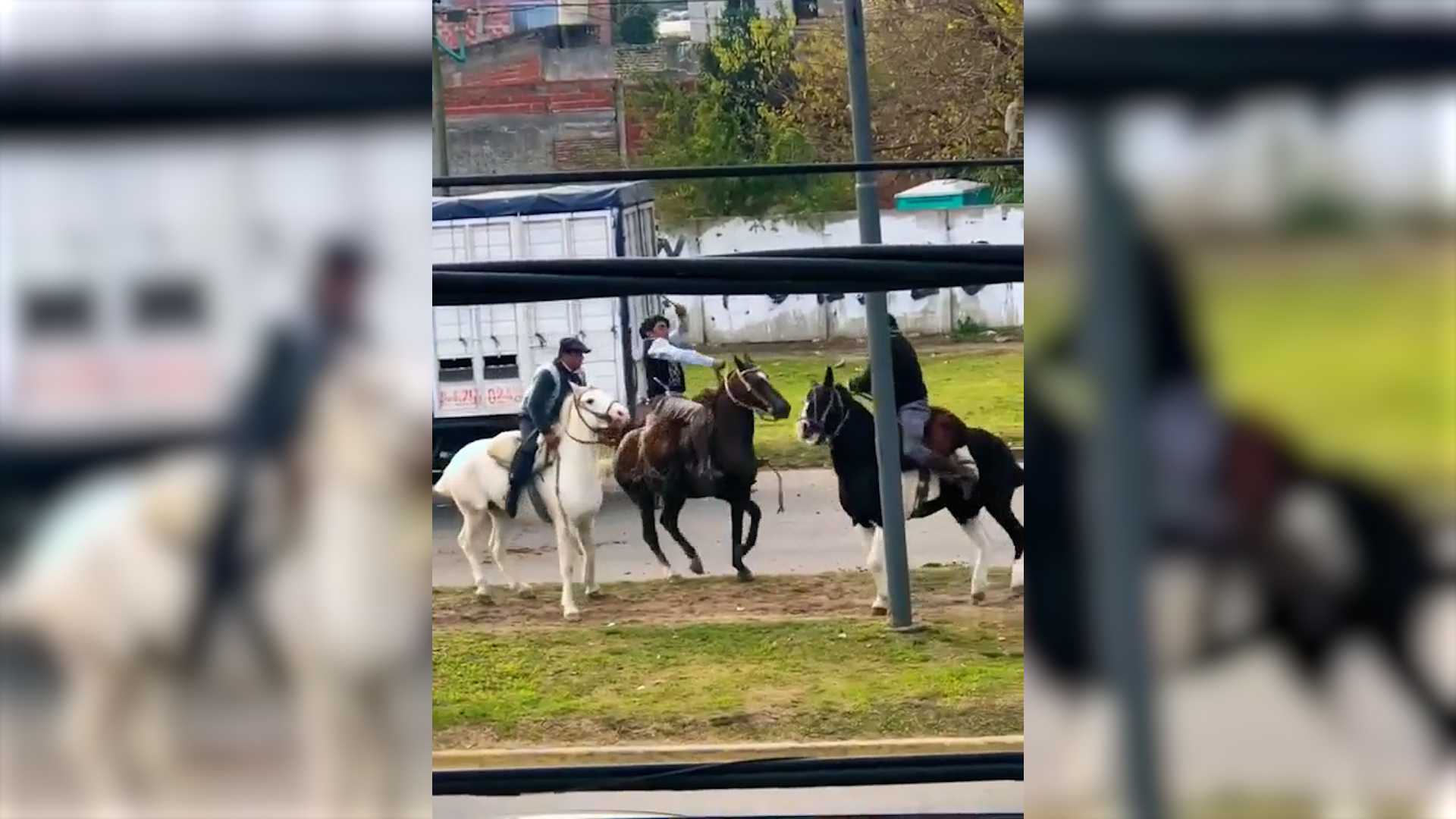 Violenta pelea entre dos jinetes a rebencazos durante la celebraci&oacute;n del 25 de mayo en Berazategui
