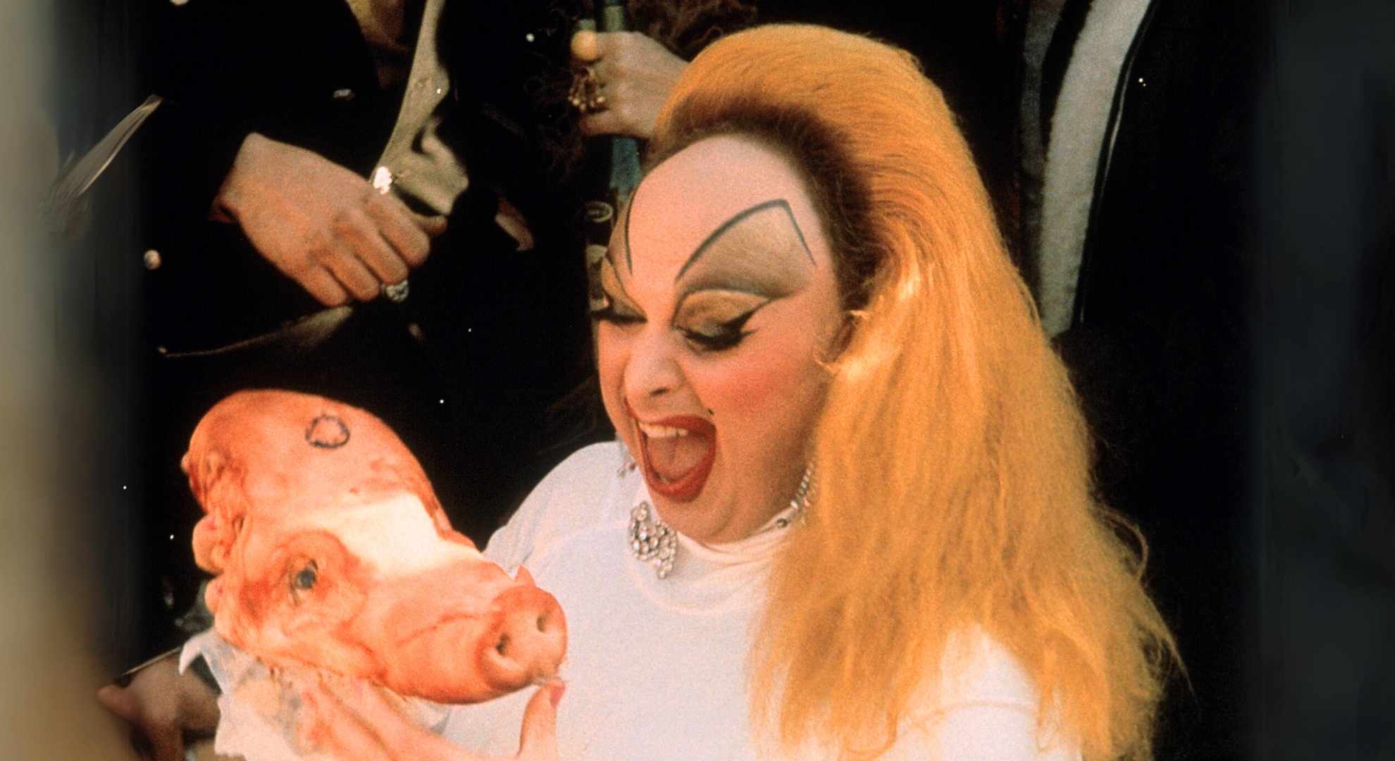 Sexo, drogas y canibalismo: “Pink Flamingos”, la película de culto más  escandalosa de la historia - Infobae