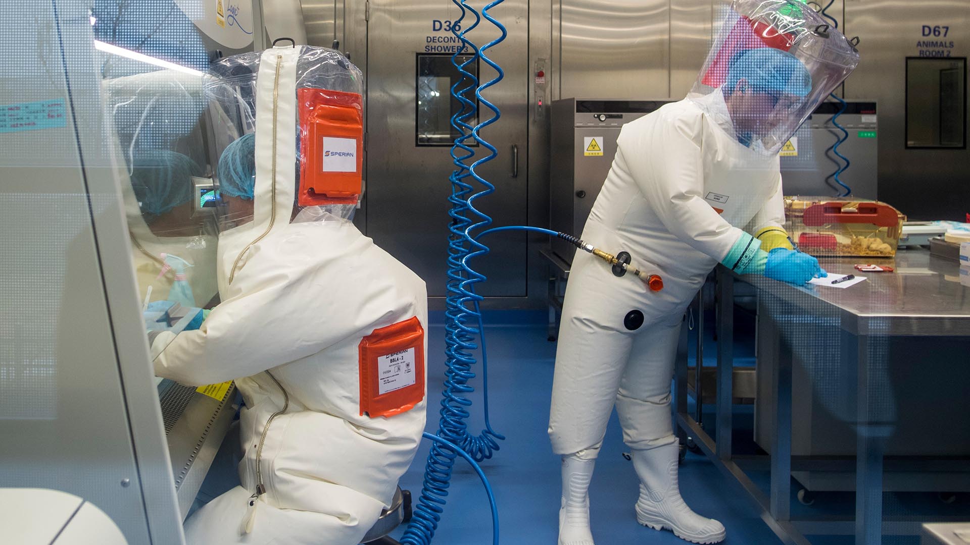 Partout dans le monde, les laboratoires à haut confinement menant des recherches scientifiques potentiellement risquées se multiplient (Photo de JOHANNES EISELE / AFP)