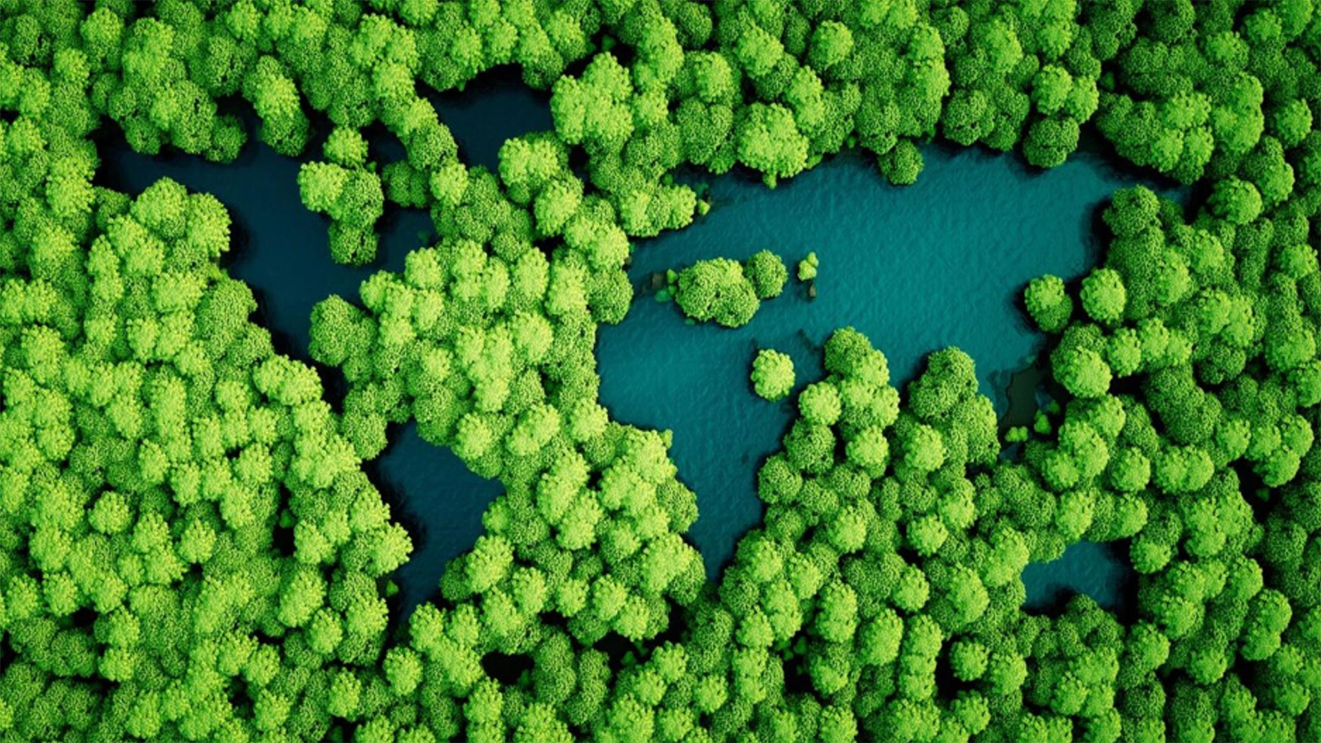 La propuesta de Circular Influence es acelerar la transición a una economía circular libre de carbono