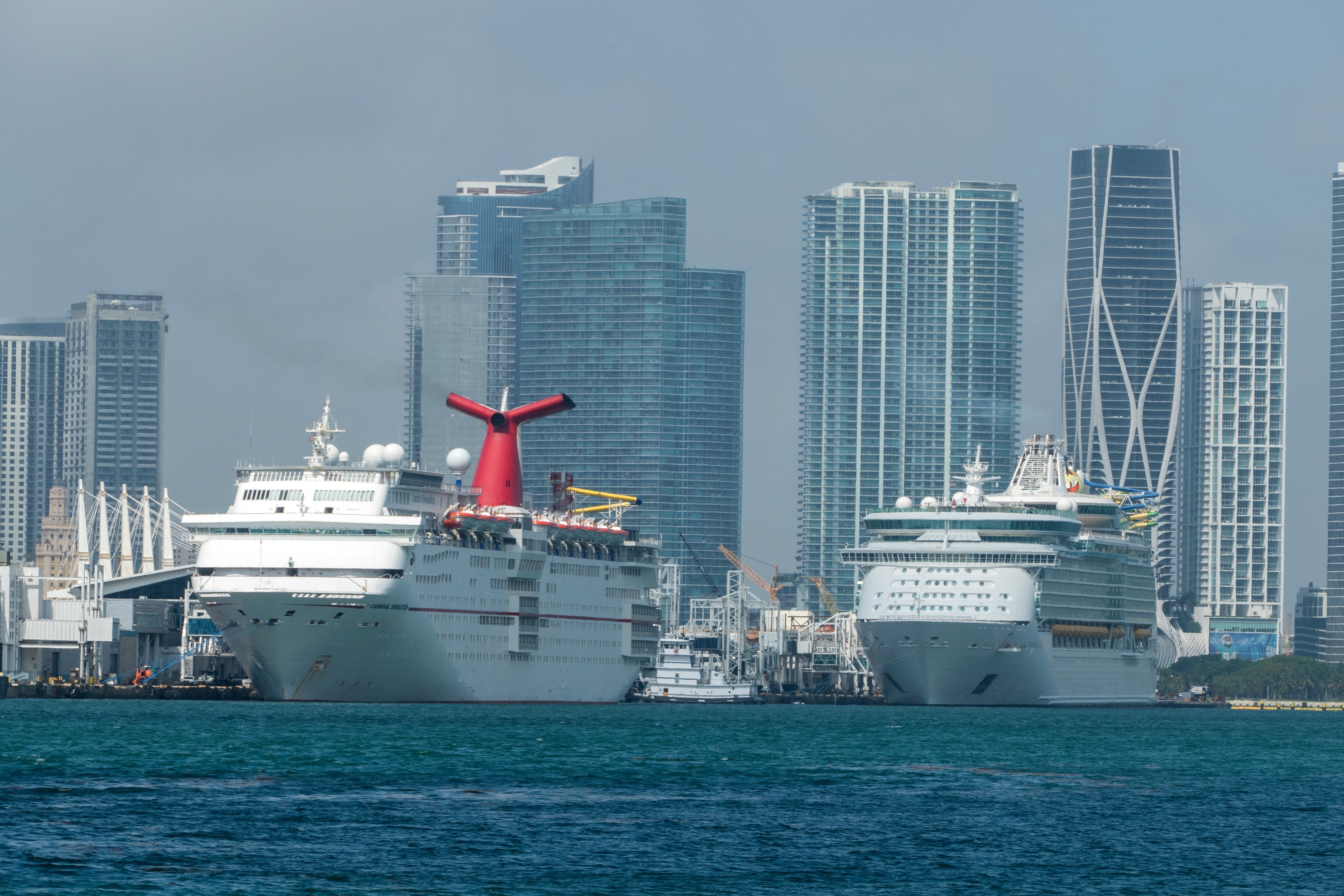 Compañías como Royal Caribbean, Carnival y Norwegian tienen su base en el puerto de Miami. (EFE/Giorgio Viera/Archivo) 