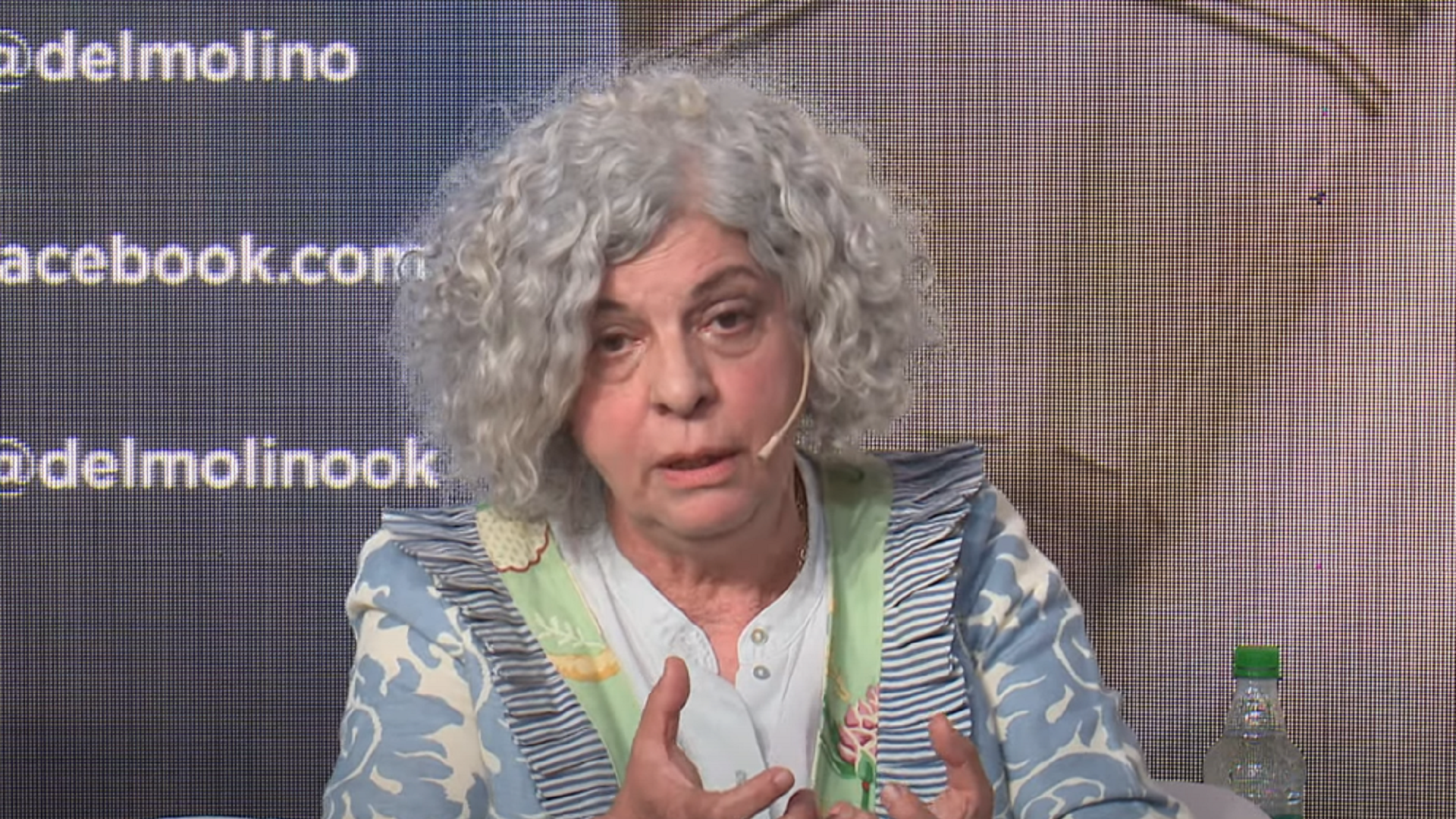 Mónica Capano (Crédito: YouTube Senado Argentina)