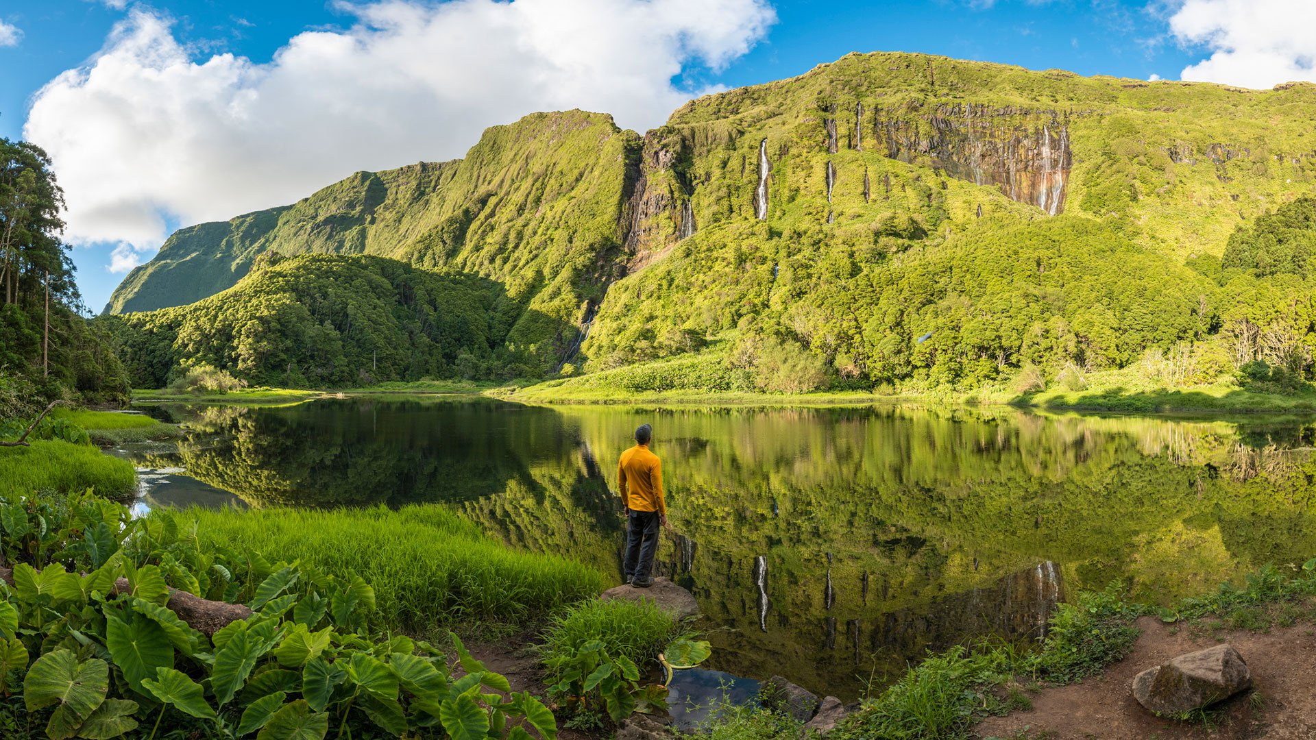 El término "biosfera" proviene del griego "bios", vida, y de "sphaira", esfera.