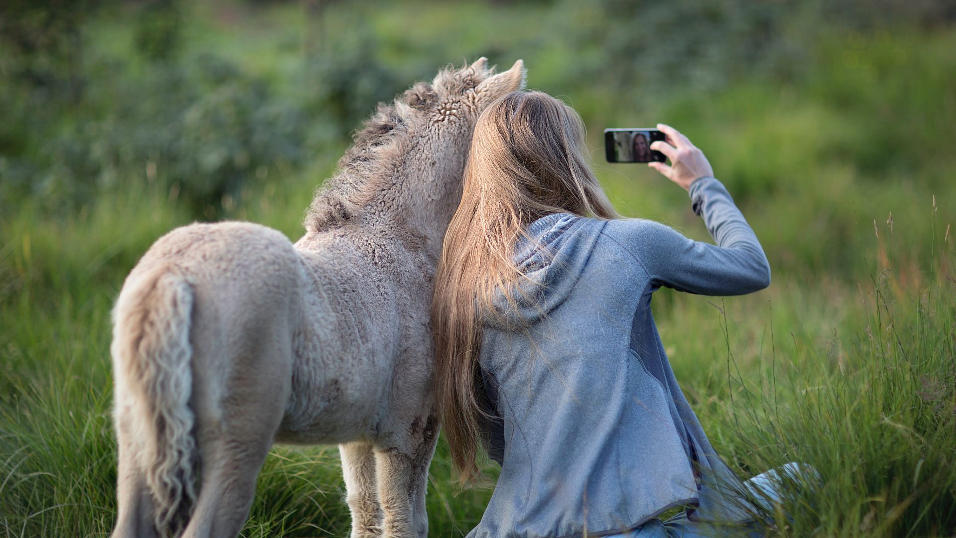 El negocio de la selfies, el alto precio que pagan los animales por la diversión de los humanos