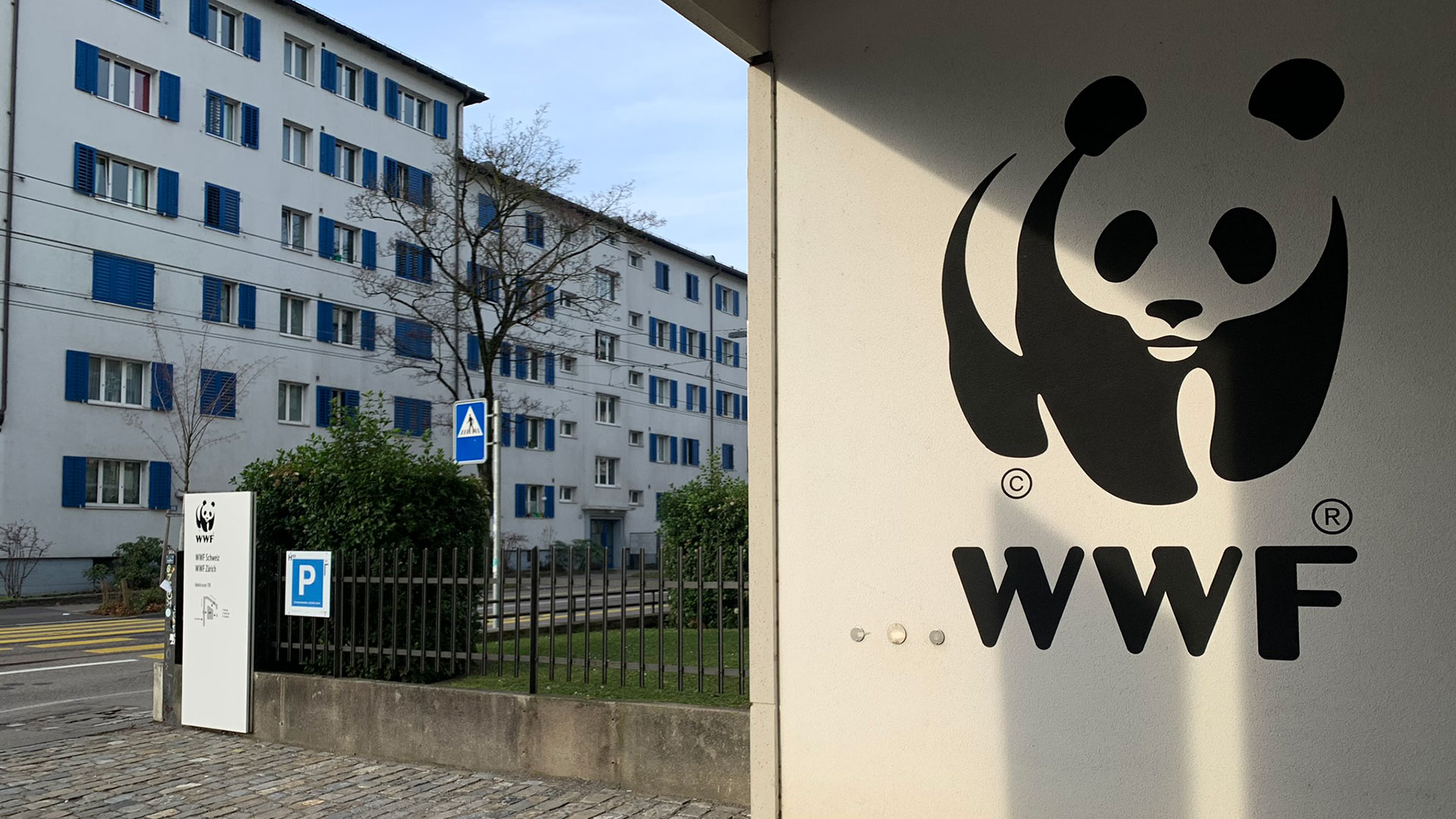 Rusia Declaró Agente Extranjero A Wwf La Destacada Organización