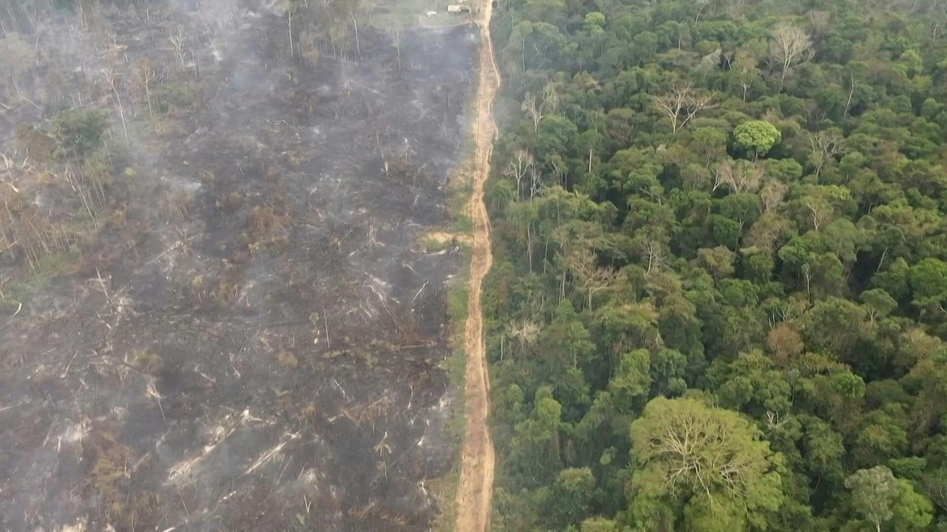 The forestación on Amazon's brasilea alcanzo a new racord to un mes de abril, with more than 1.000 km2 talados, equivalent to 140.000 cams of ftbol, ​​segun dato satilivali divulgados these viruses.
