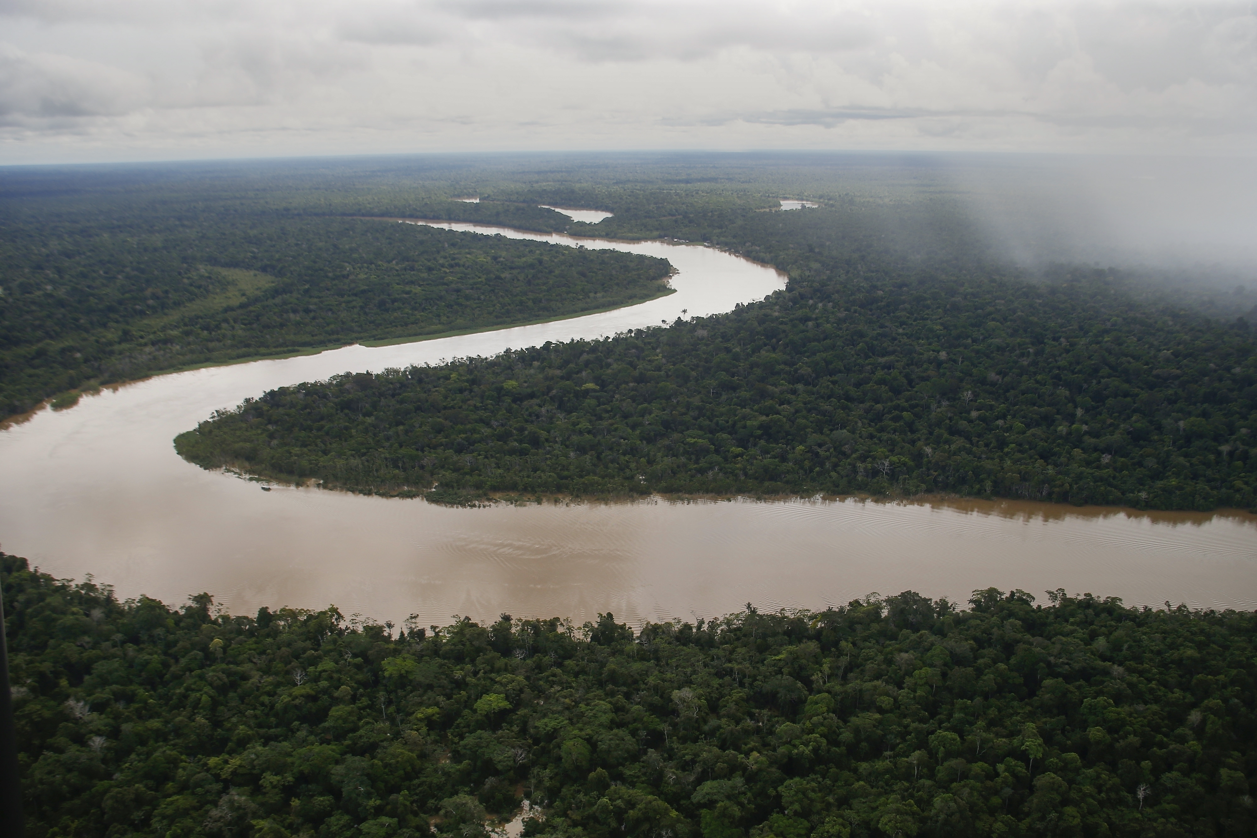 Los ministros de Medio Ambiente de ocho países dieron los primeros pasos para lograr un acuerdo sobre la Amazonía